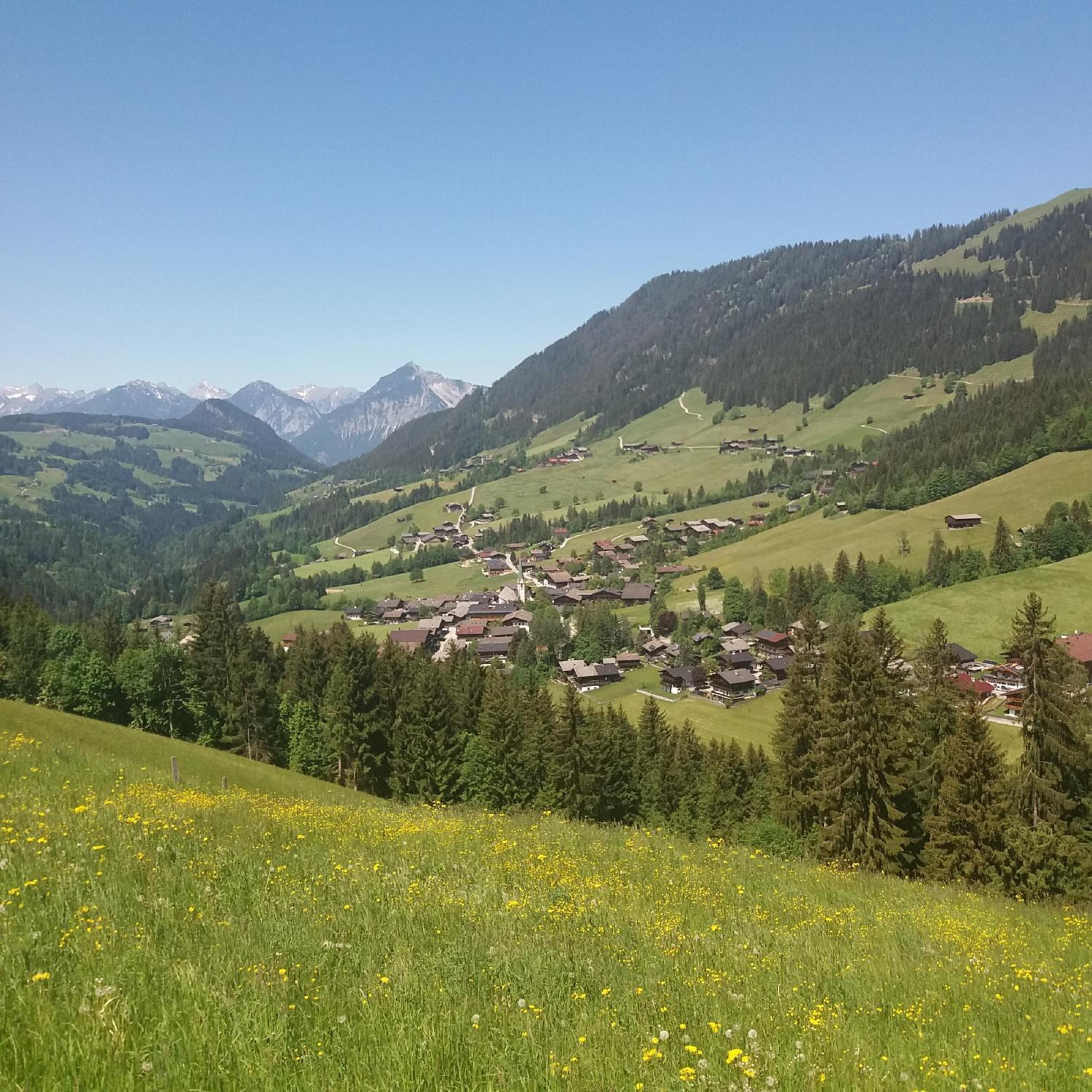 Haus Raimund 