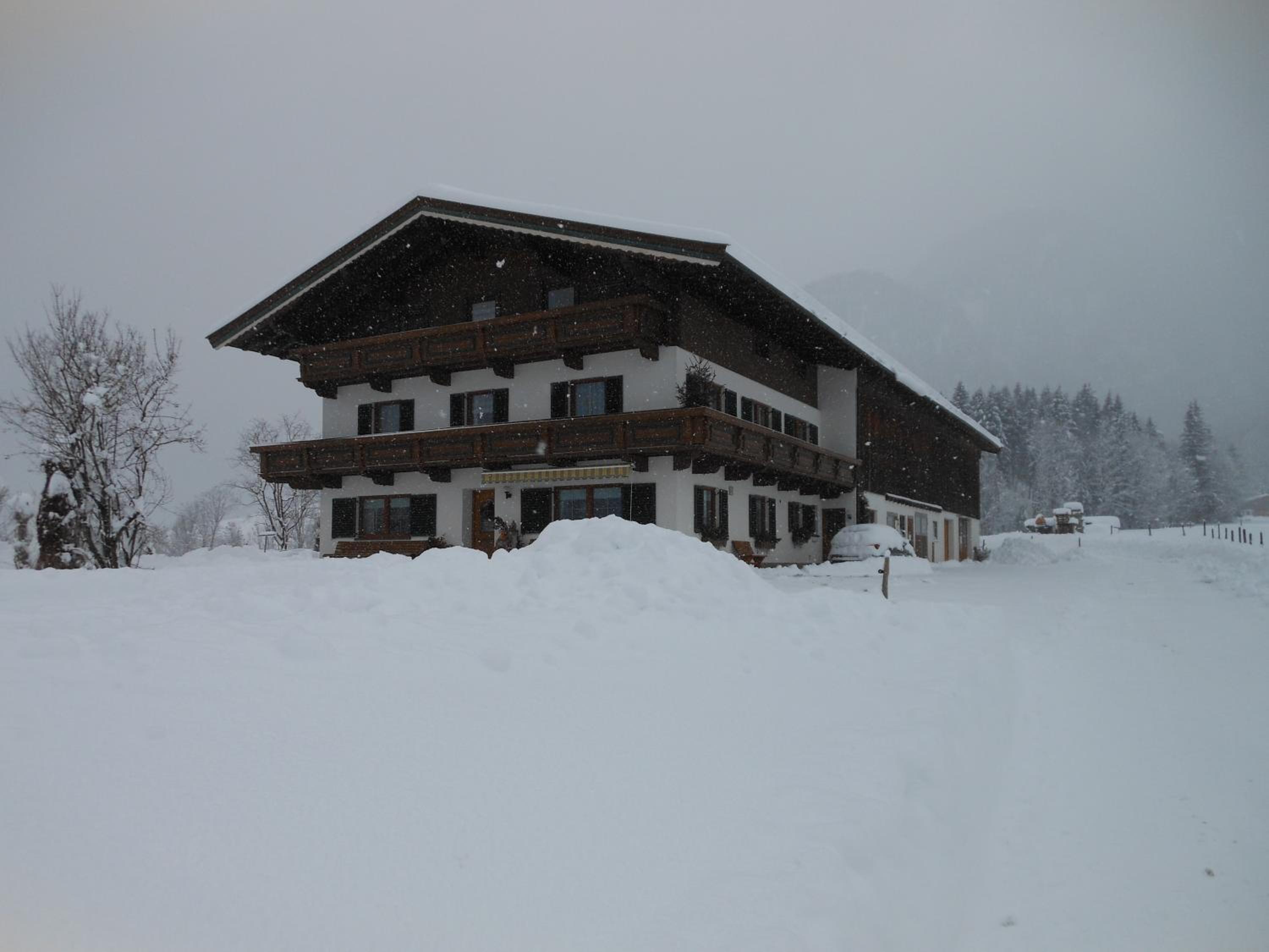 Photo 33