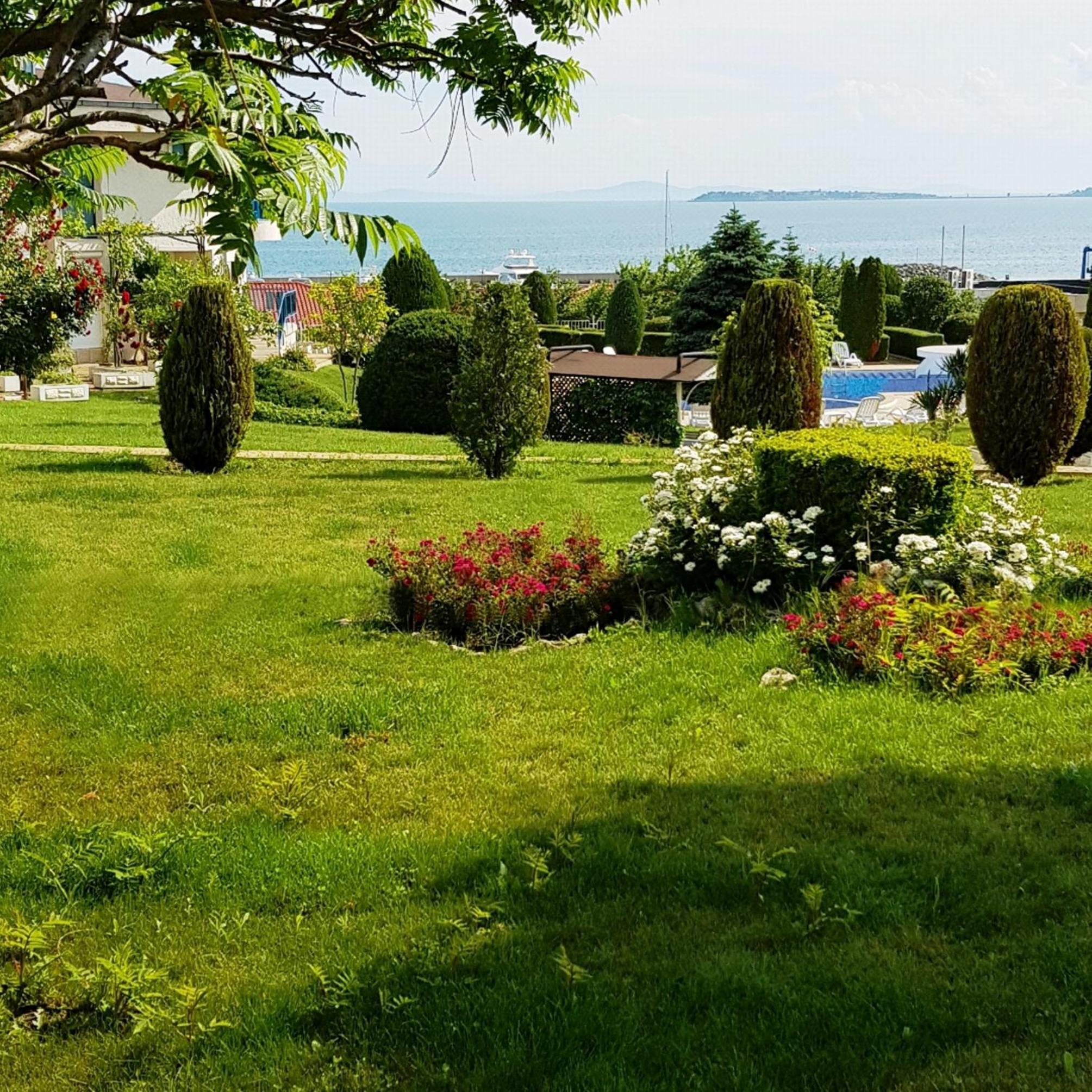garden