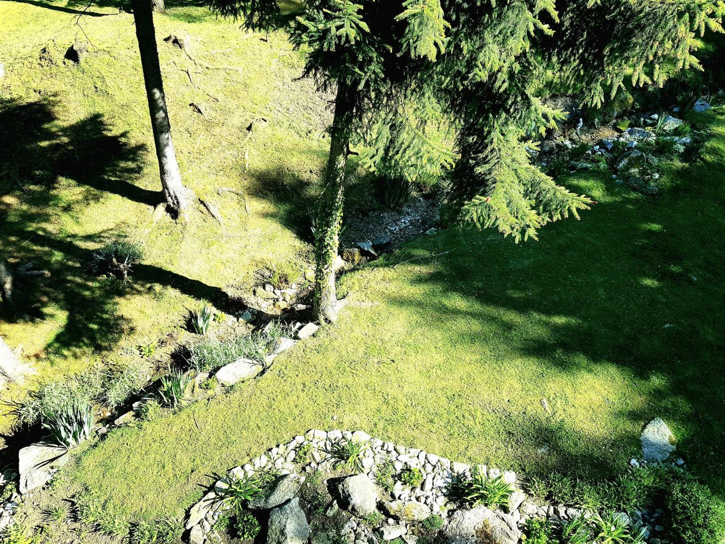 Photo 45