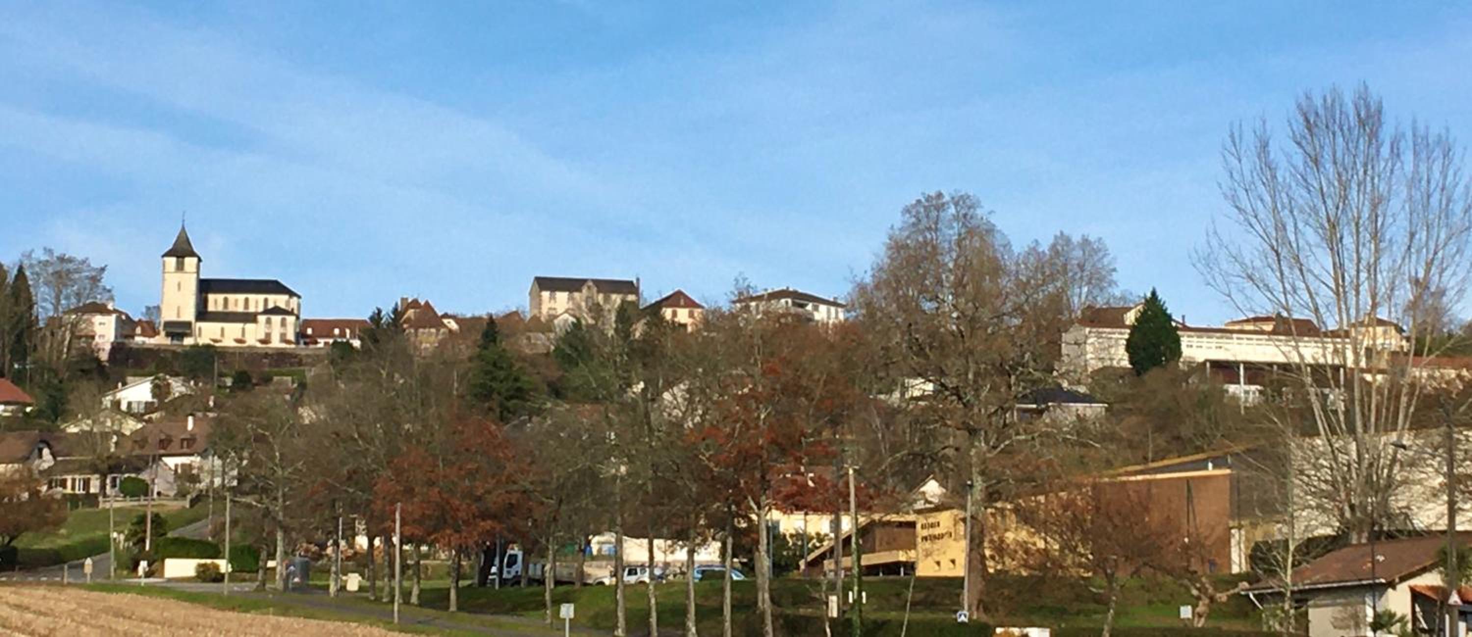 Photo 15