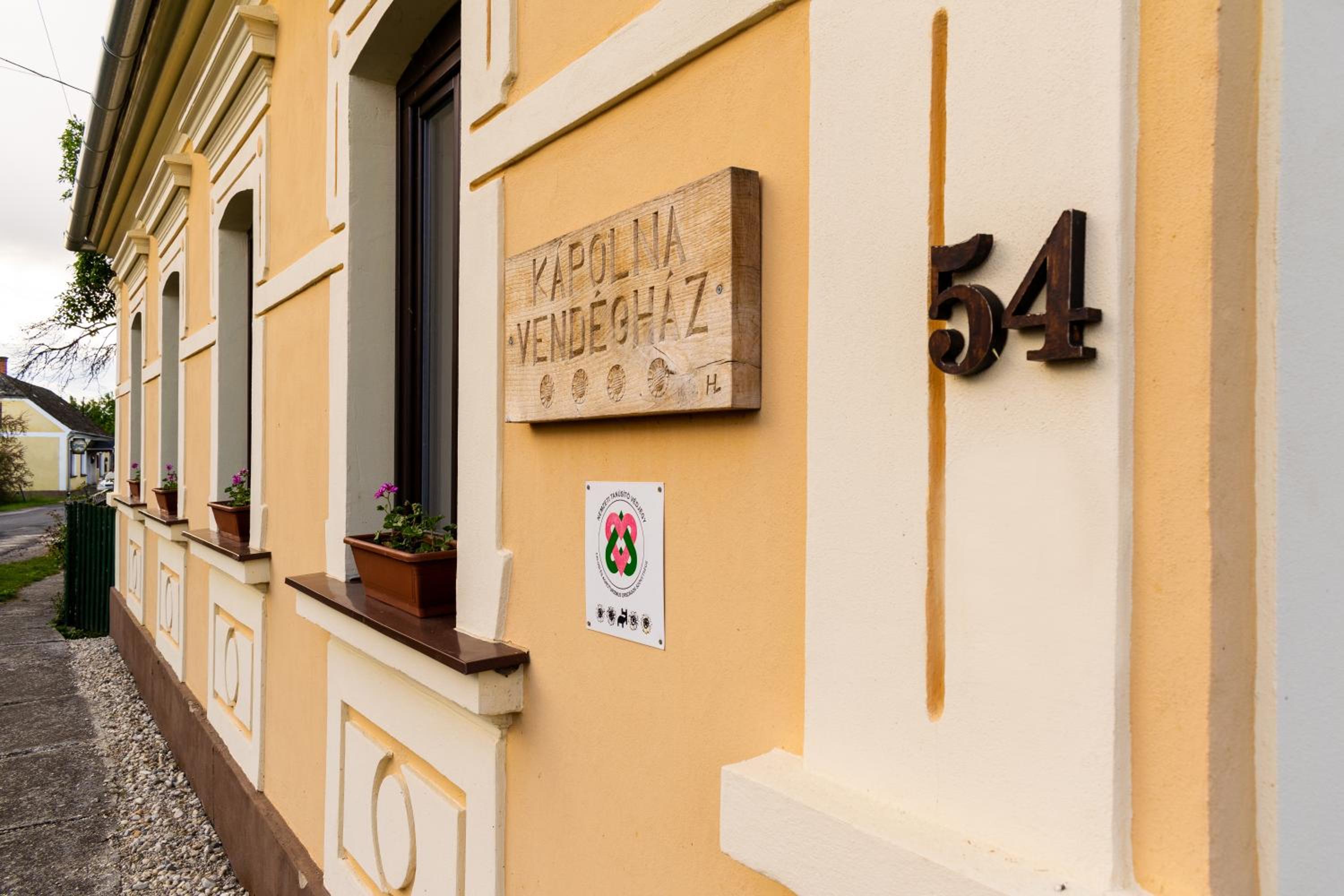 Photo 45
