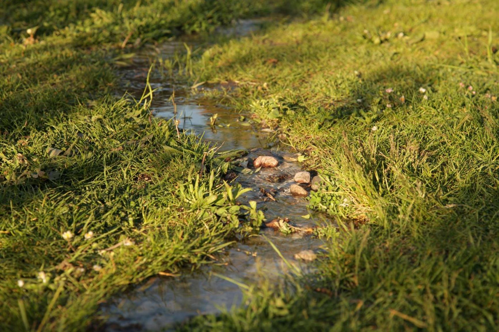 Photo 35