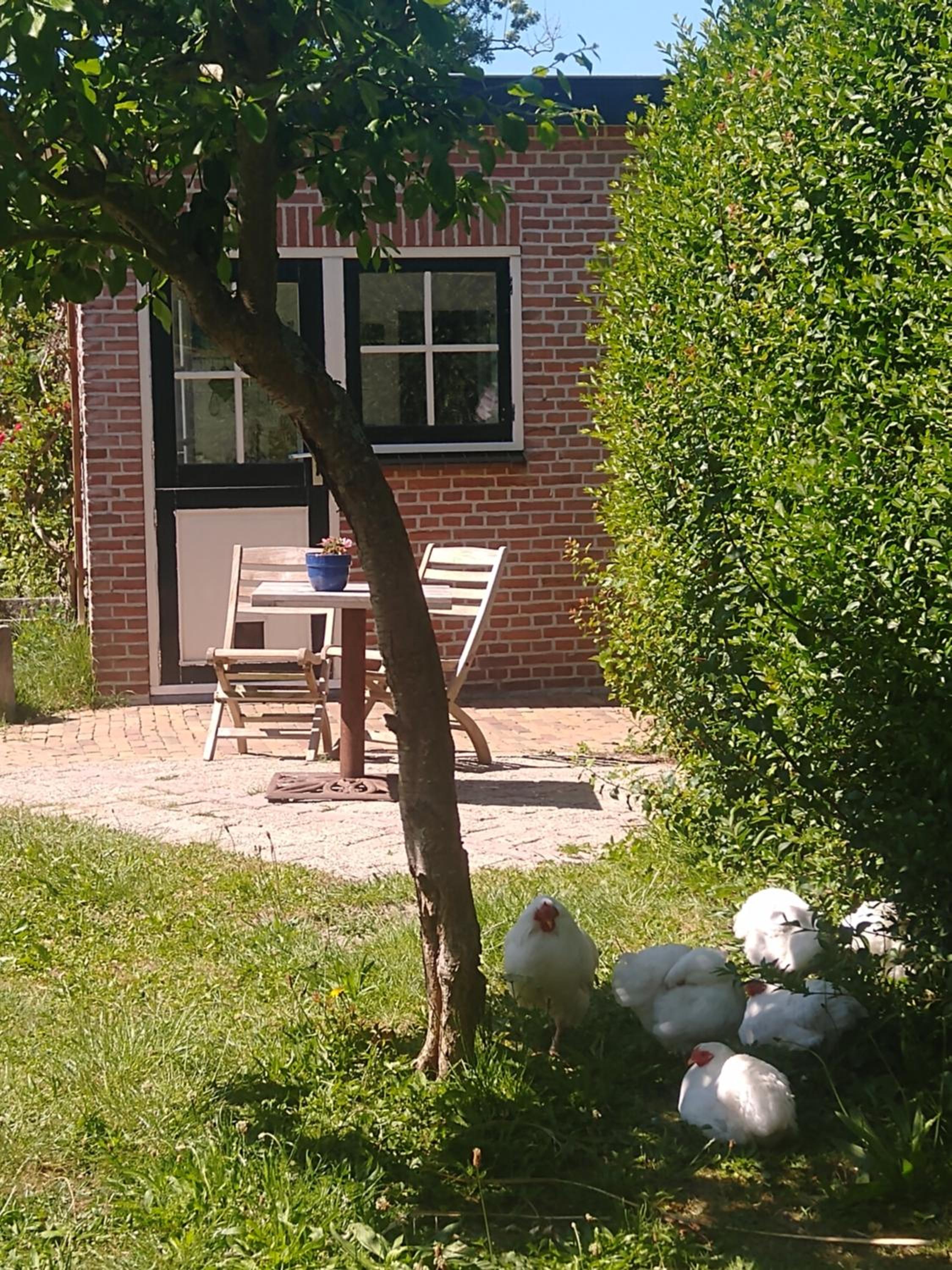 Photo 13