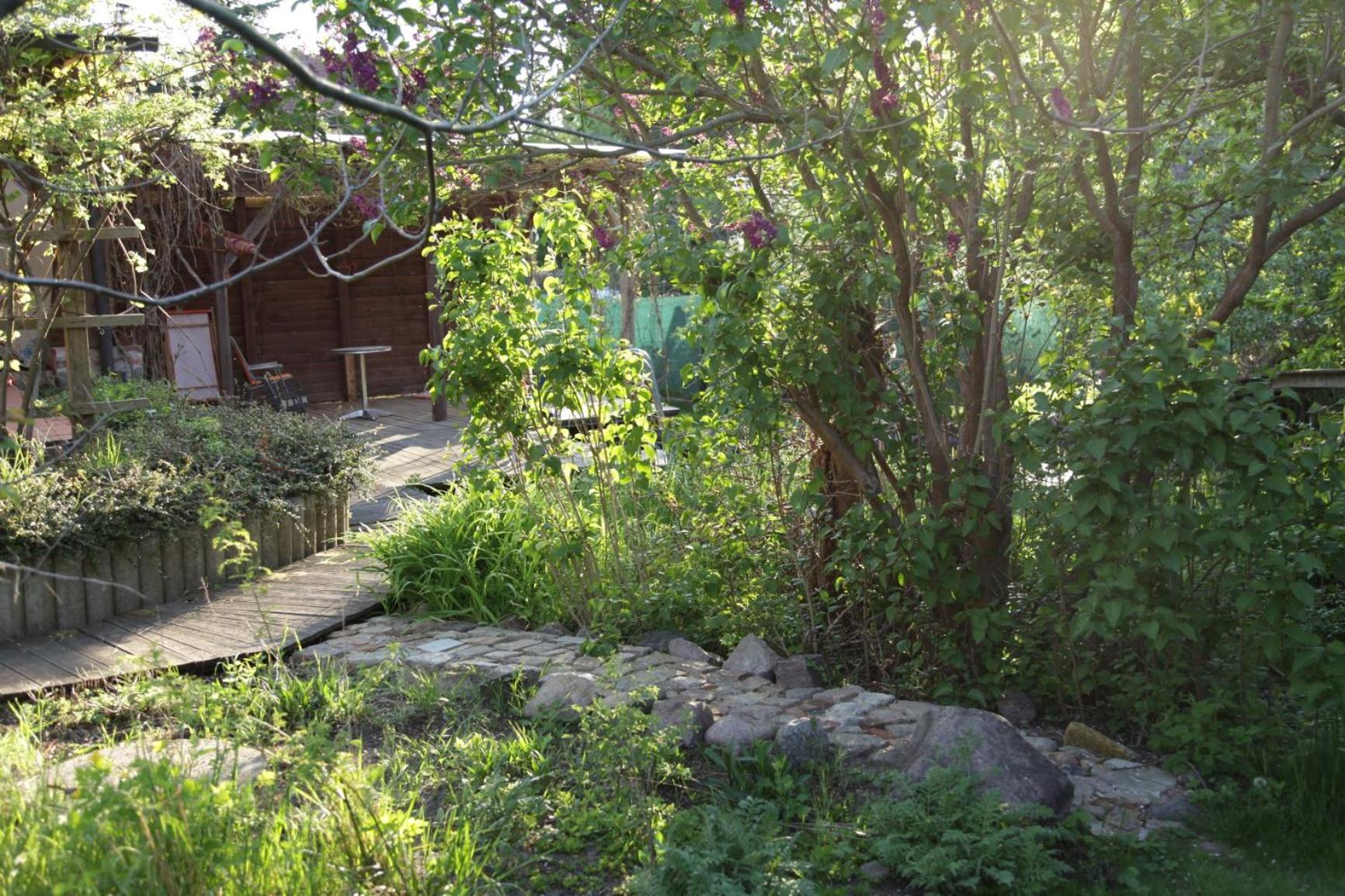 Photo 41
