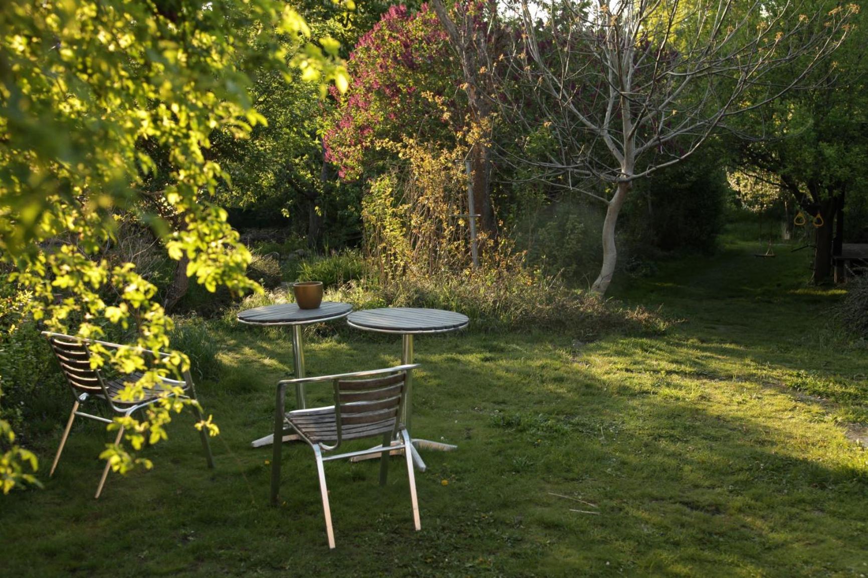 Photo 40