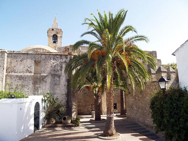 Photo 24
