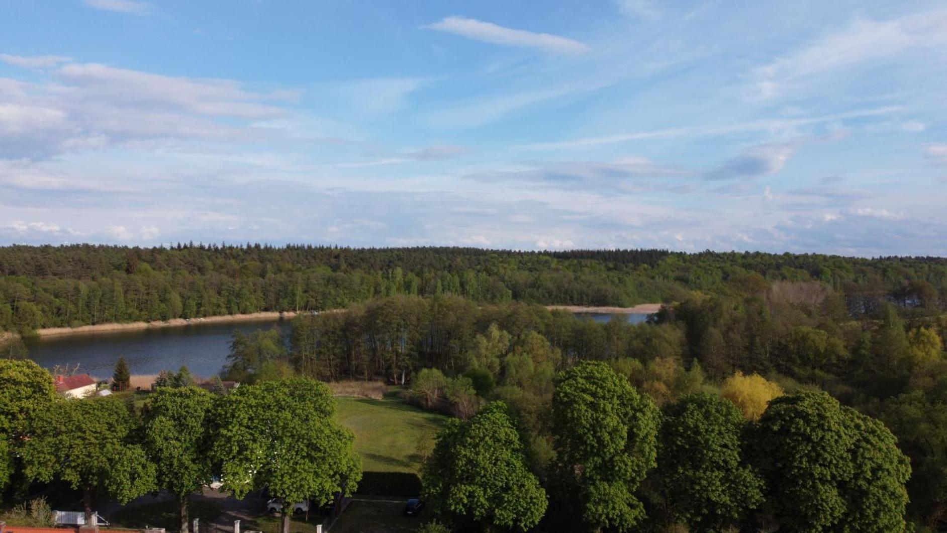 Photo 45