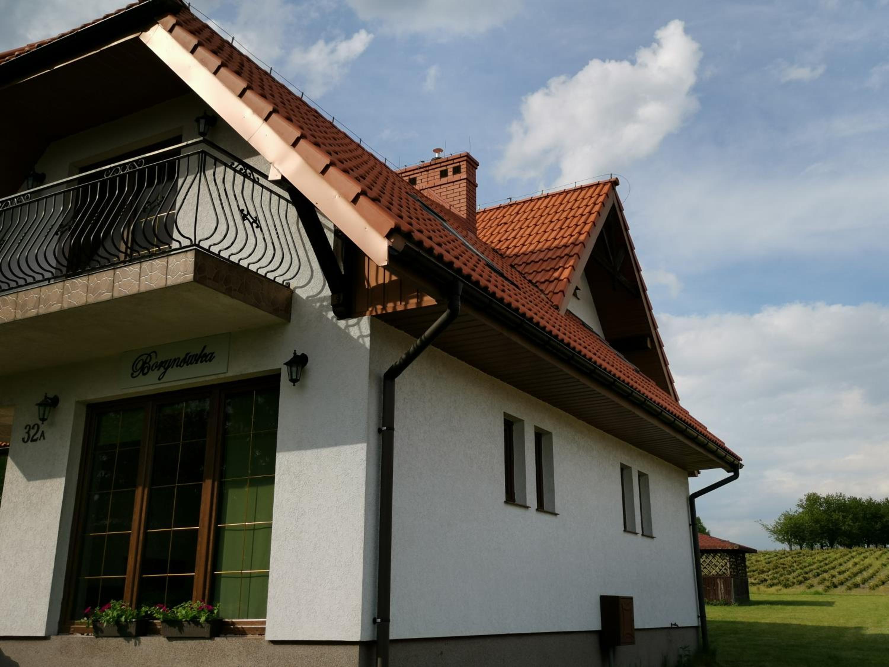 Willa Borynówka view 4
