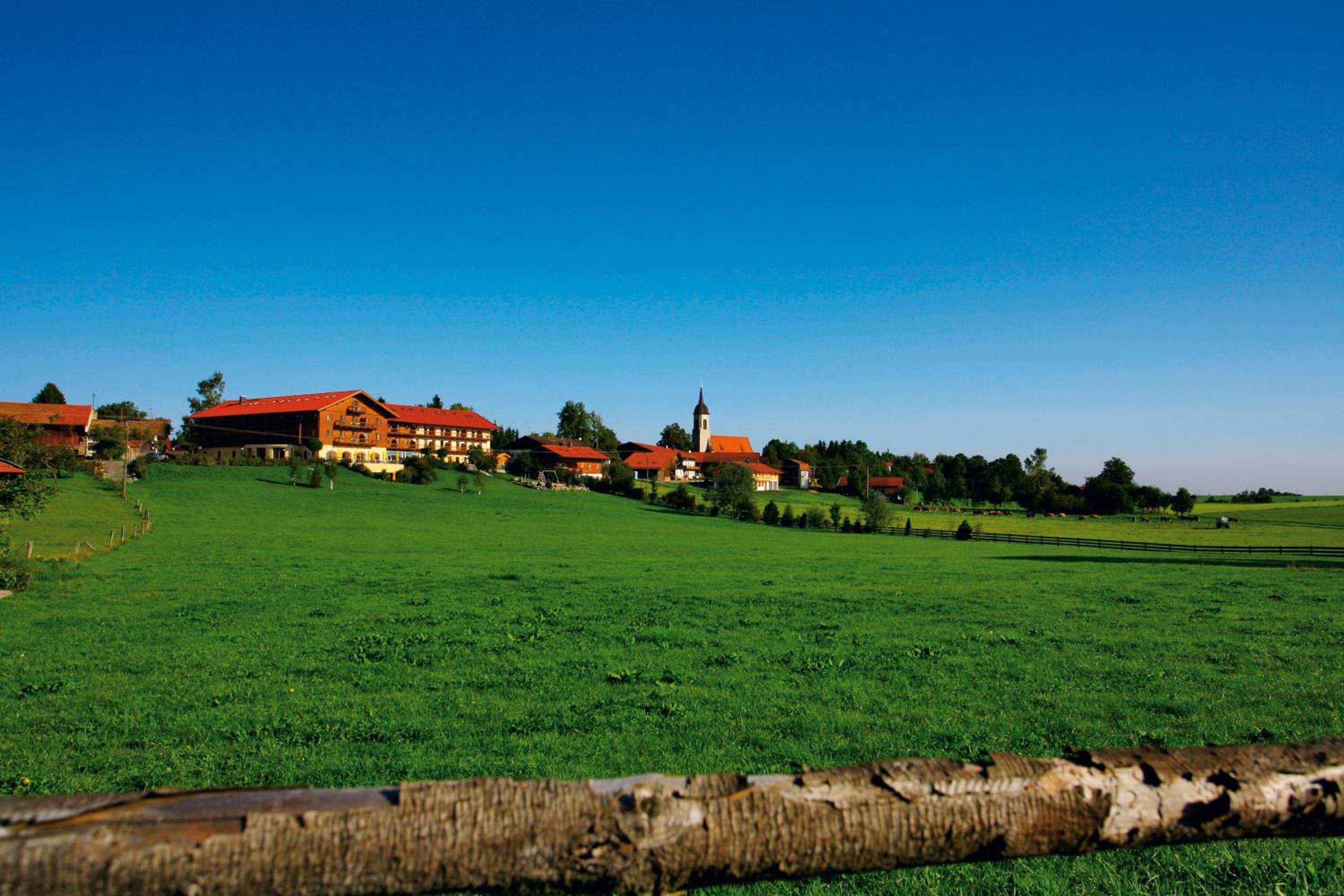 Hotel und Landgasthof Altwirt - Property Image 39