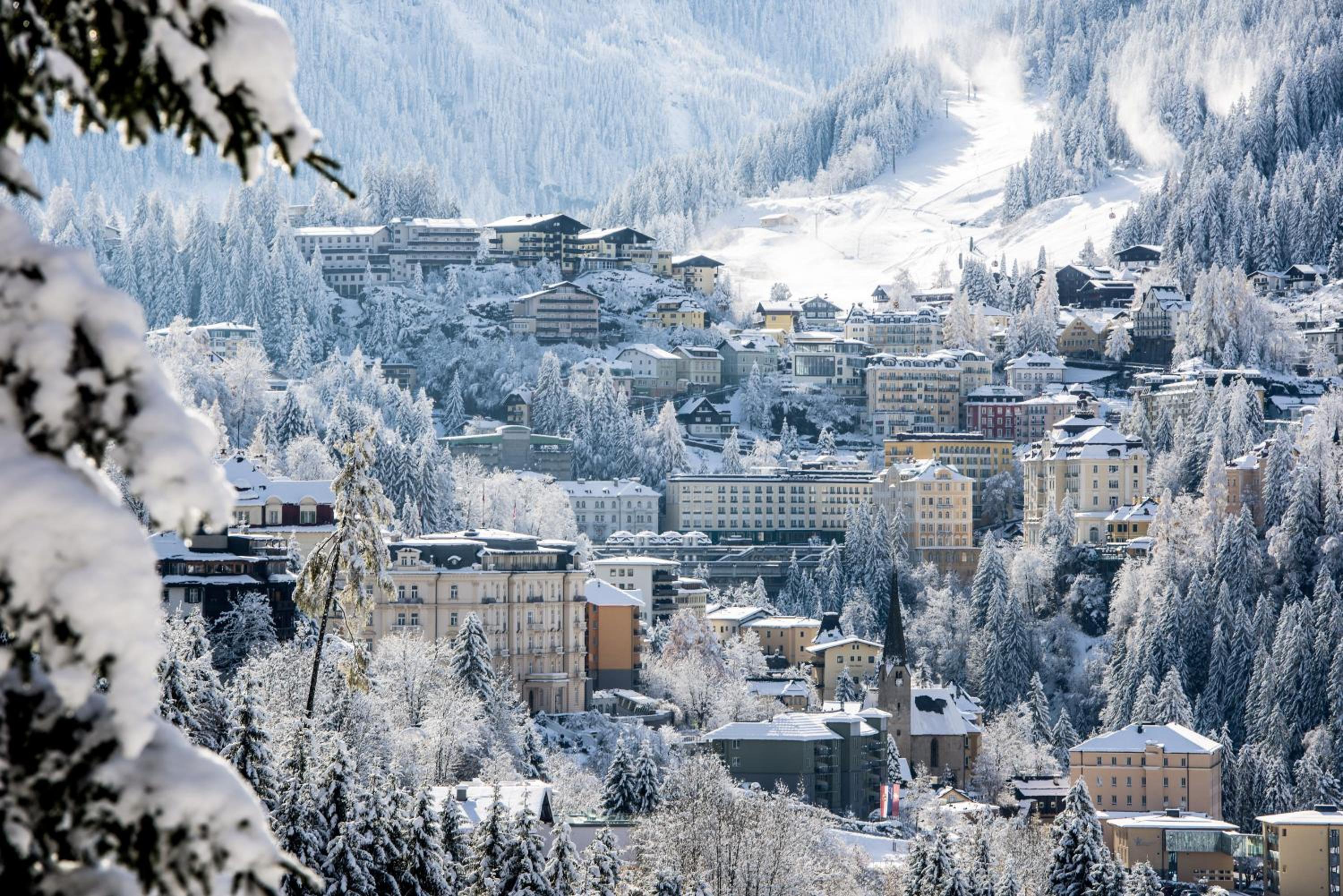 Apartment Gastein
