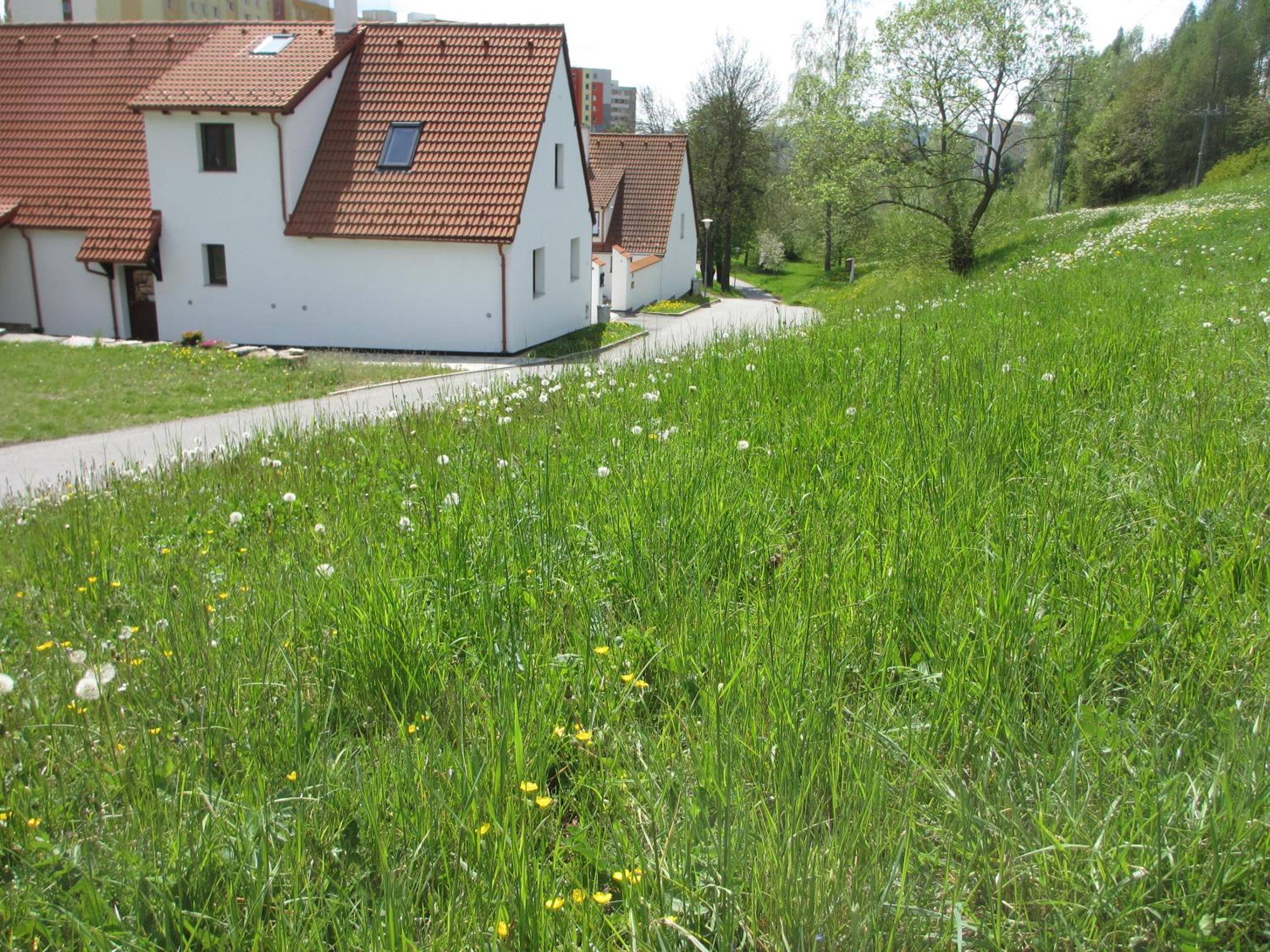 Apartmány U Procházků view 2
