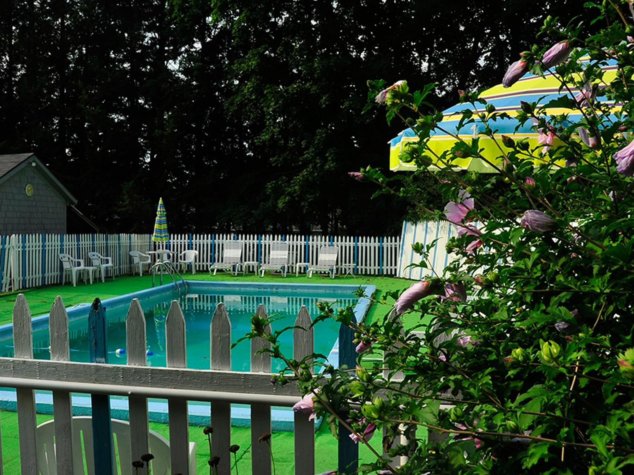 Willows Motel view 3