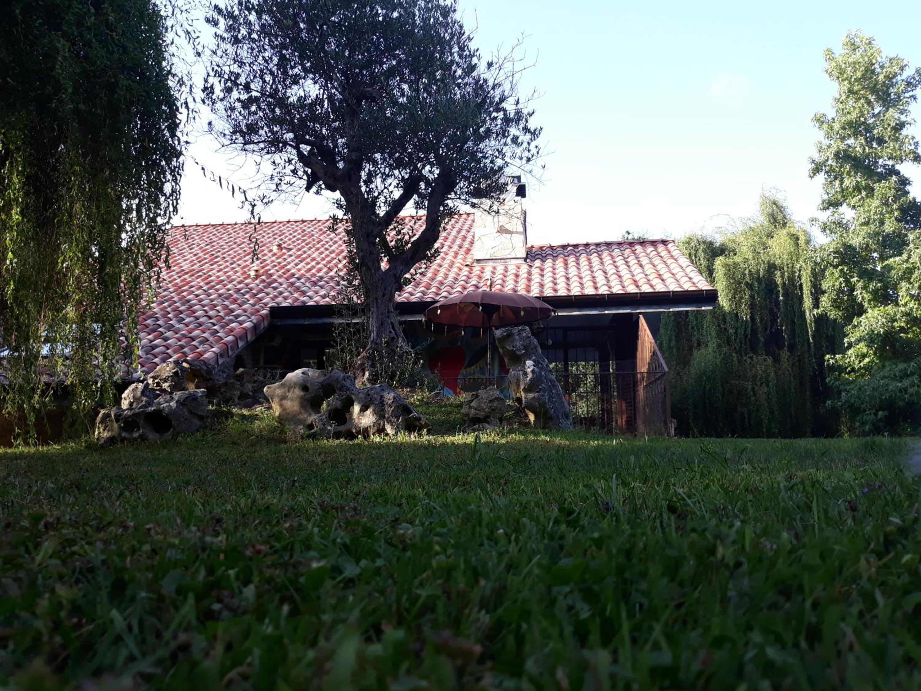 Photo 21