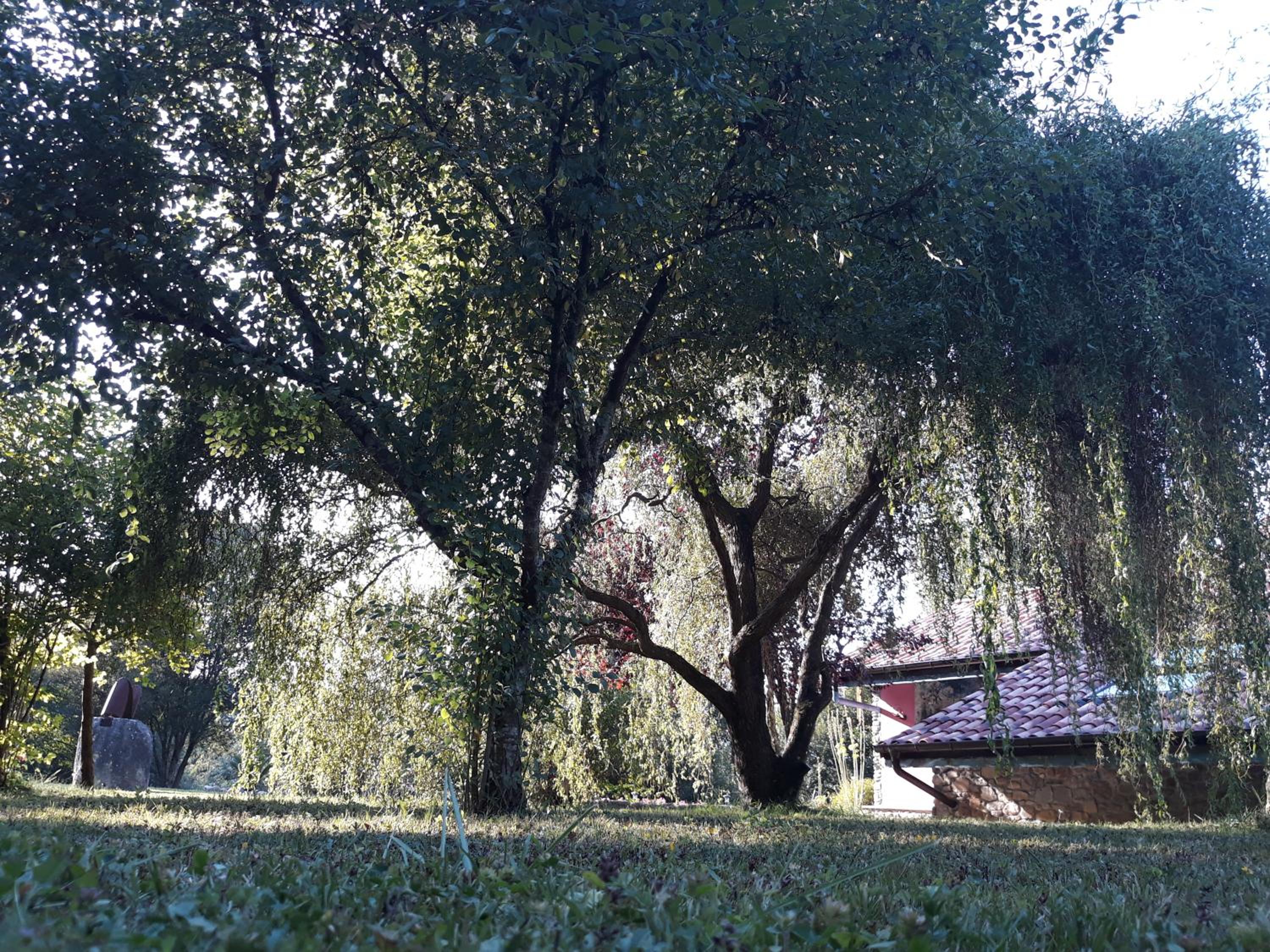 Photo 22