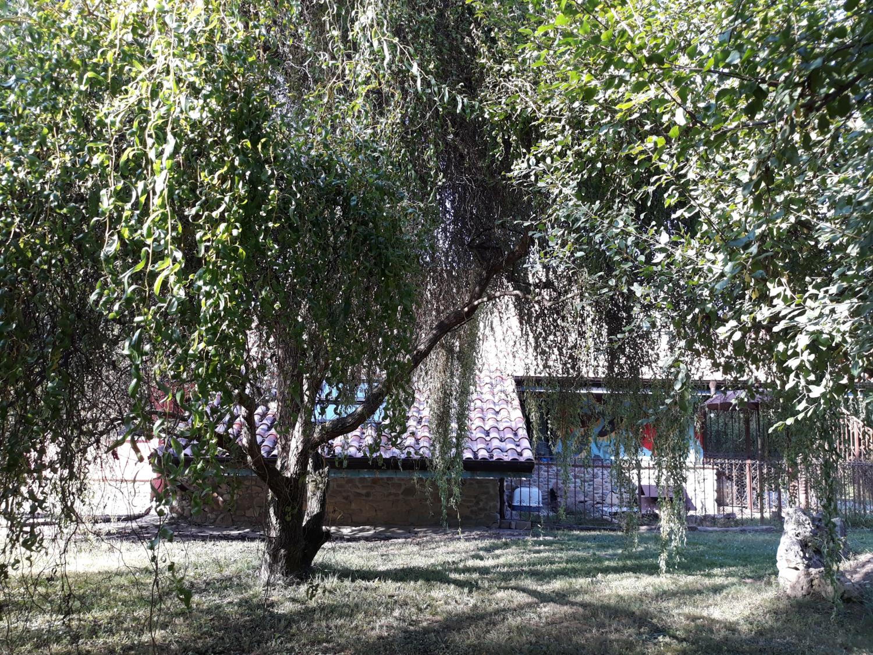 Photo 23
