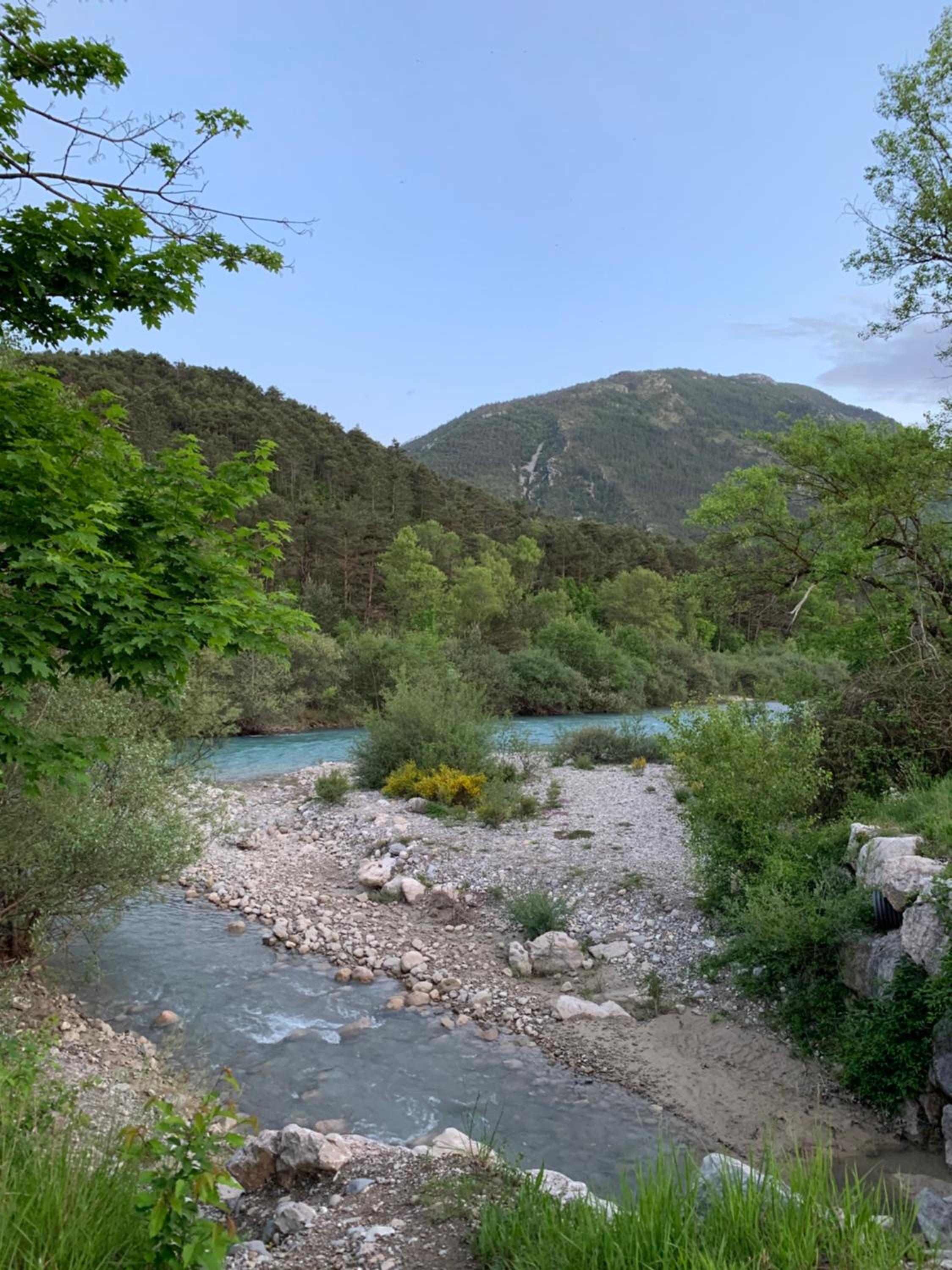 Photo 19