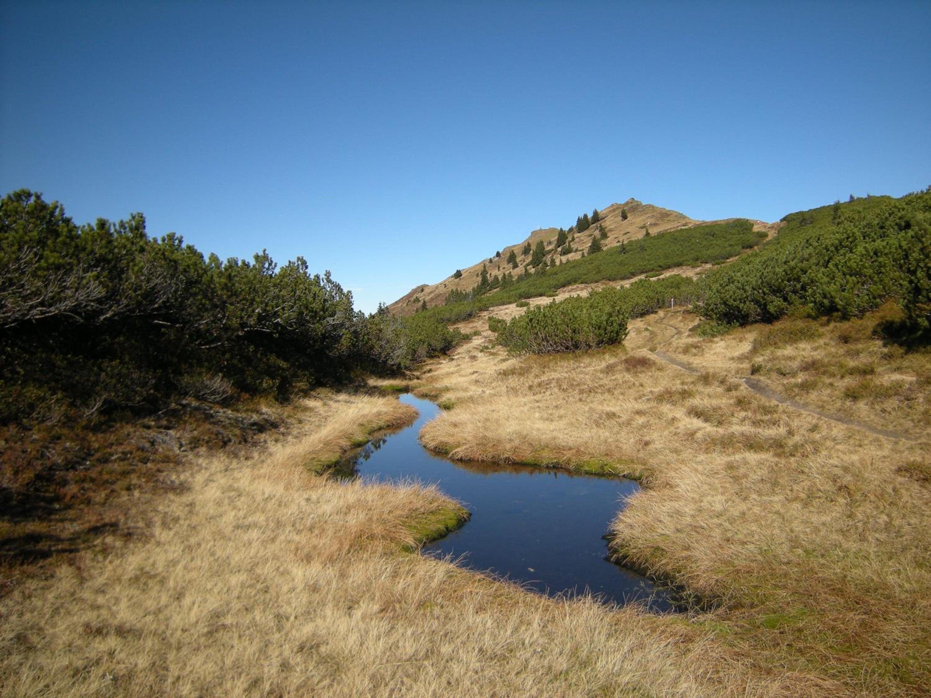 Photo 31