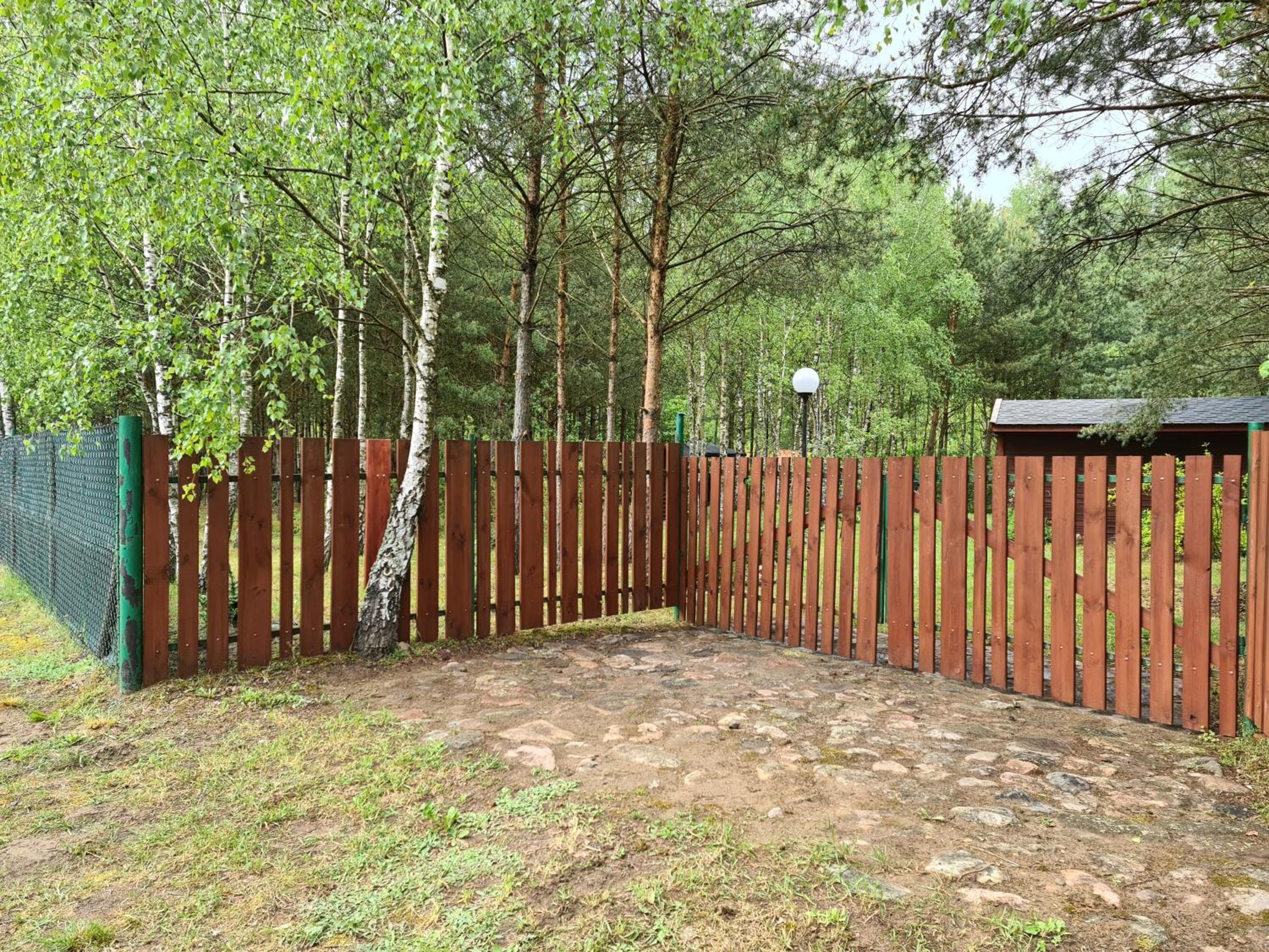 Photo 22