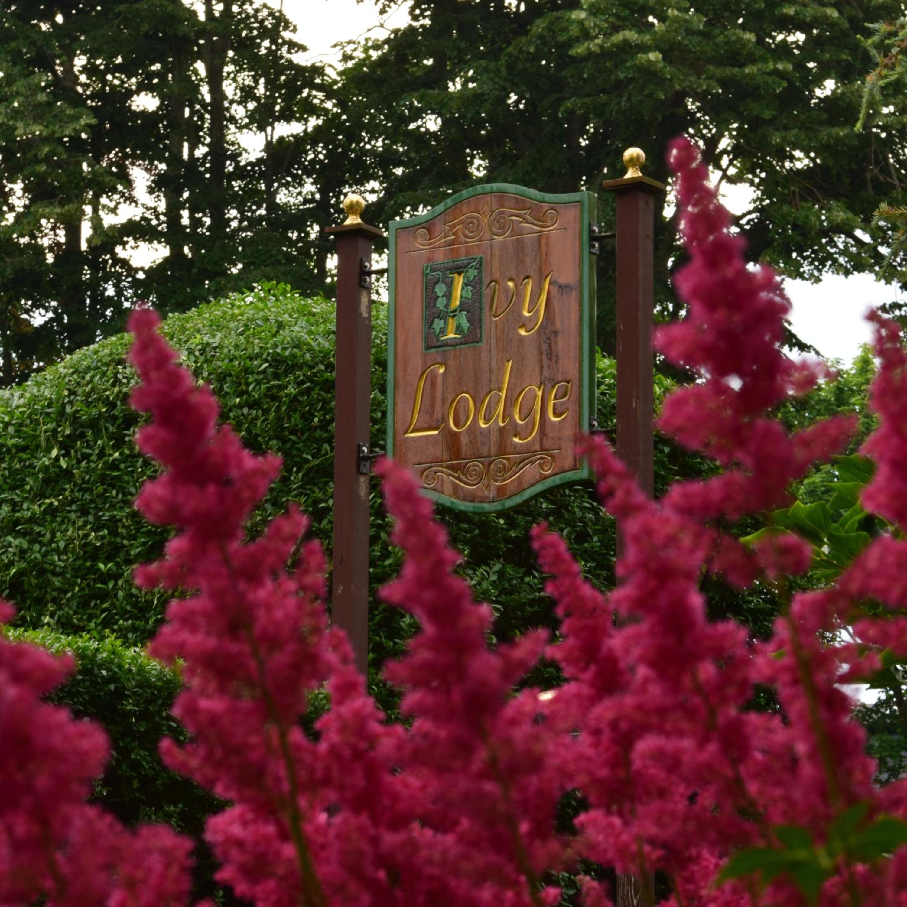 Ivy Lodge view 4