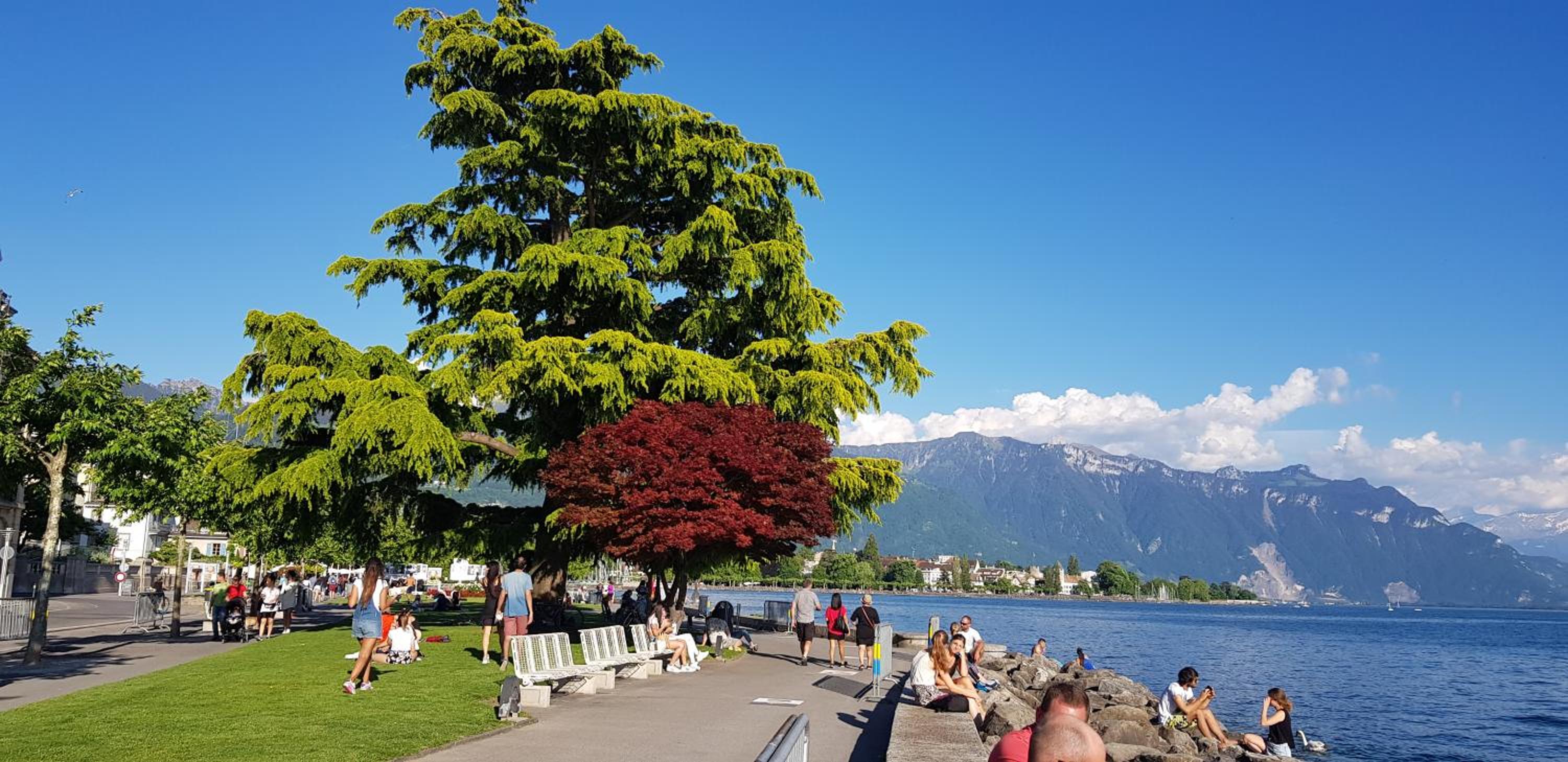 Montreux Holiday Home