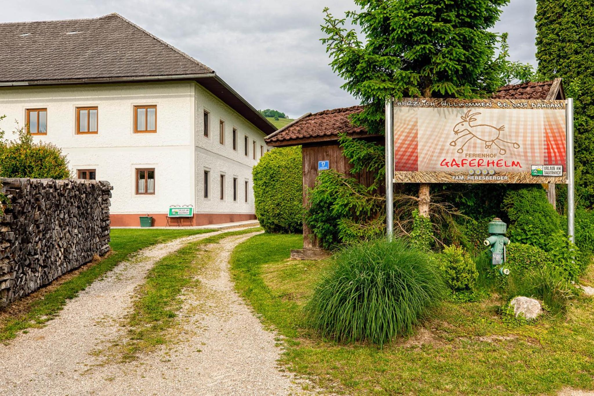 Urlaub am Ziegenhof 