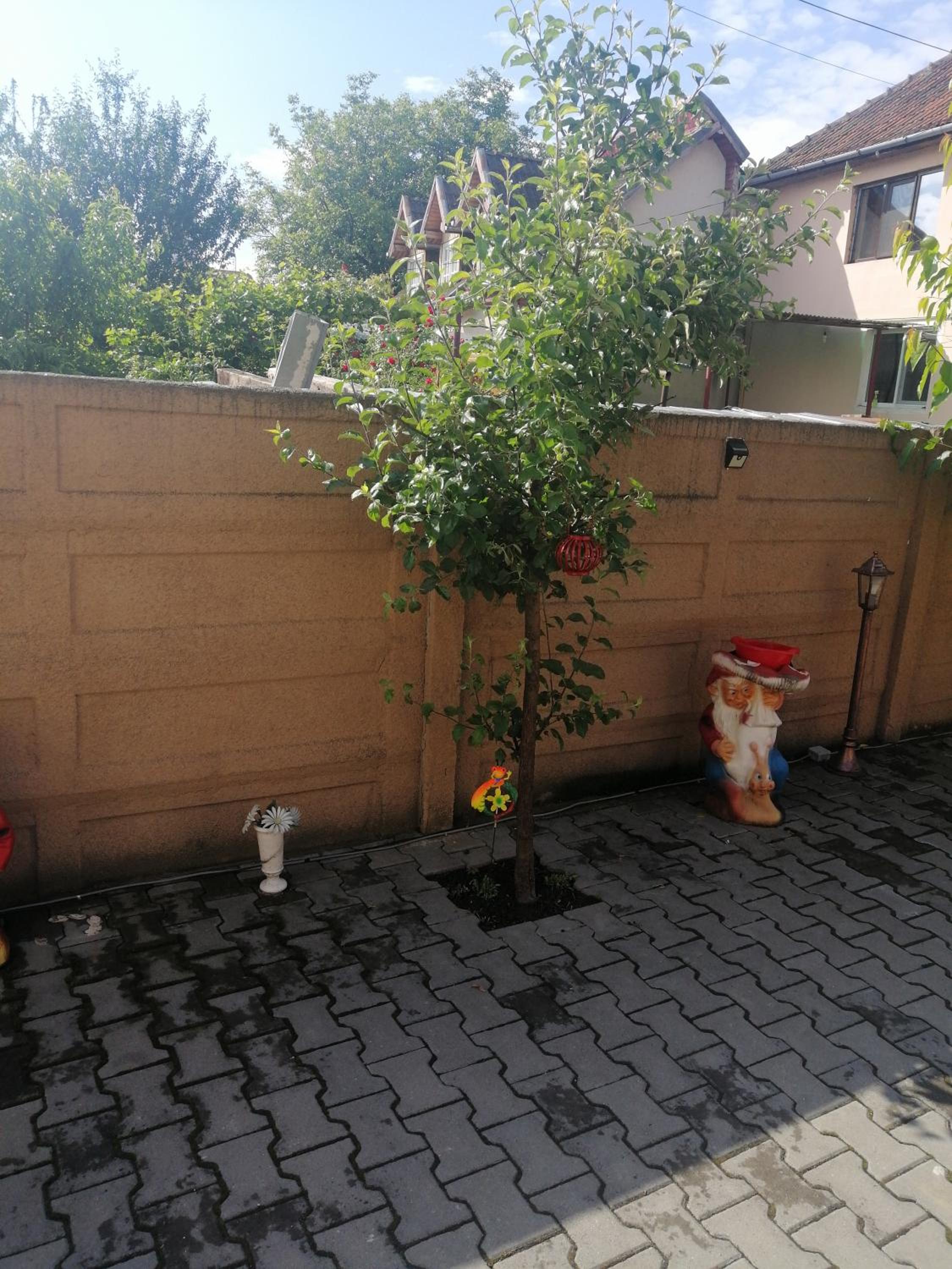 Photo 122