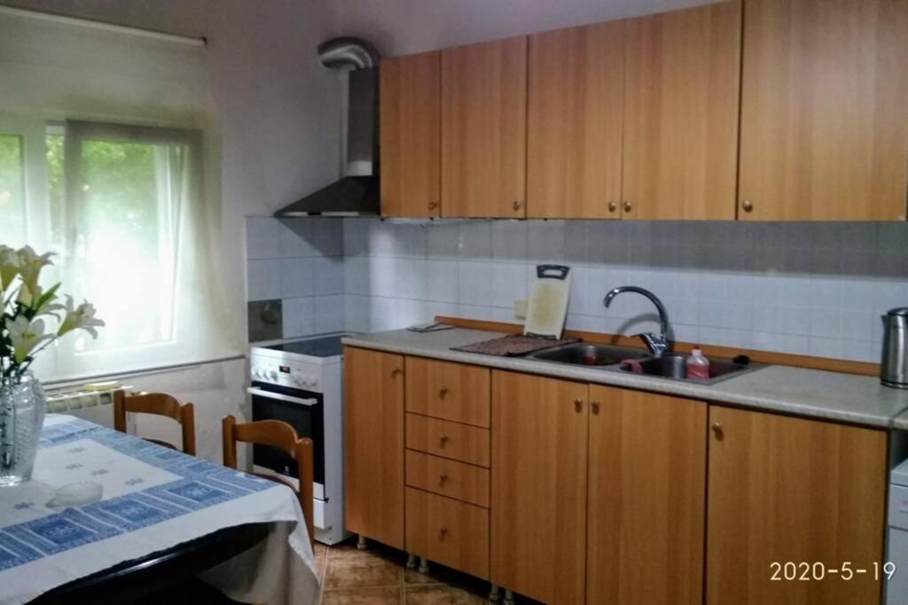 Green house - Apartment in Aridaia-Loutra Pozar view 4