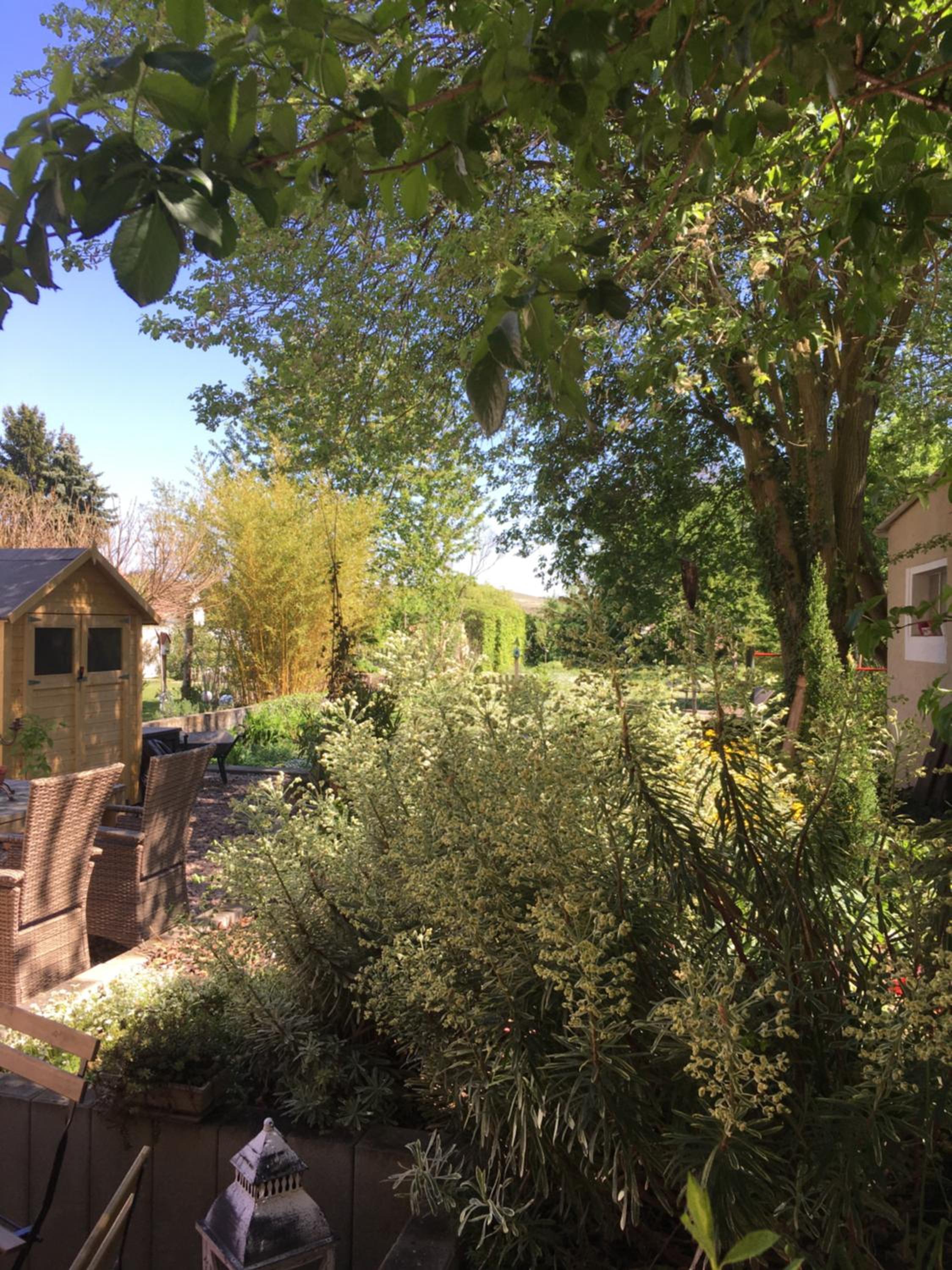 Photo 33