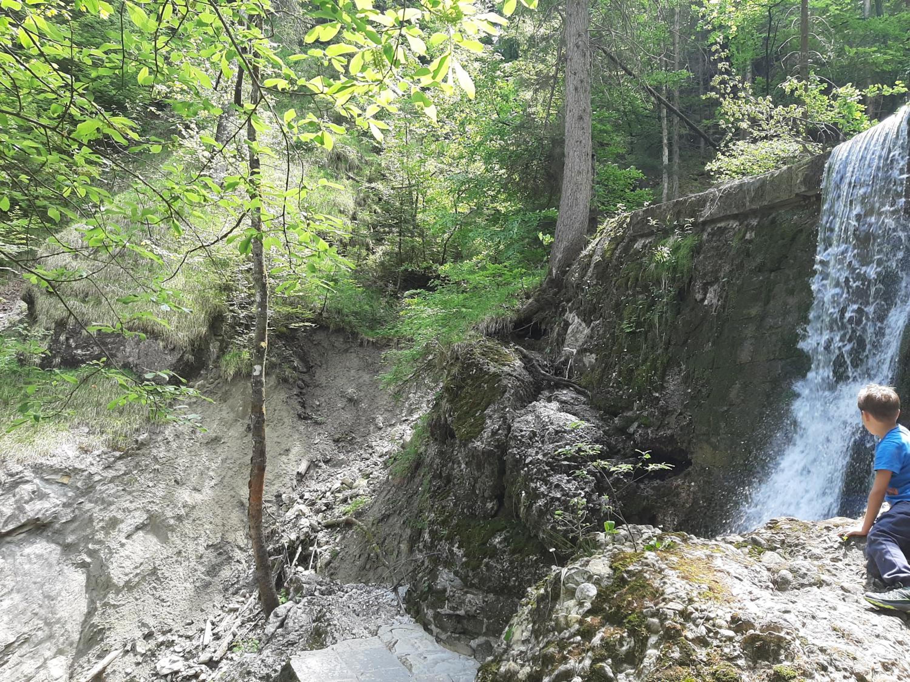 Photo 40