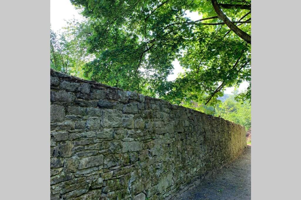 Abbaye Notre-Dame du Vivier - Le Bief du Vivier