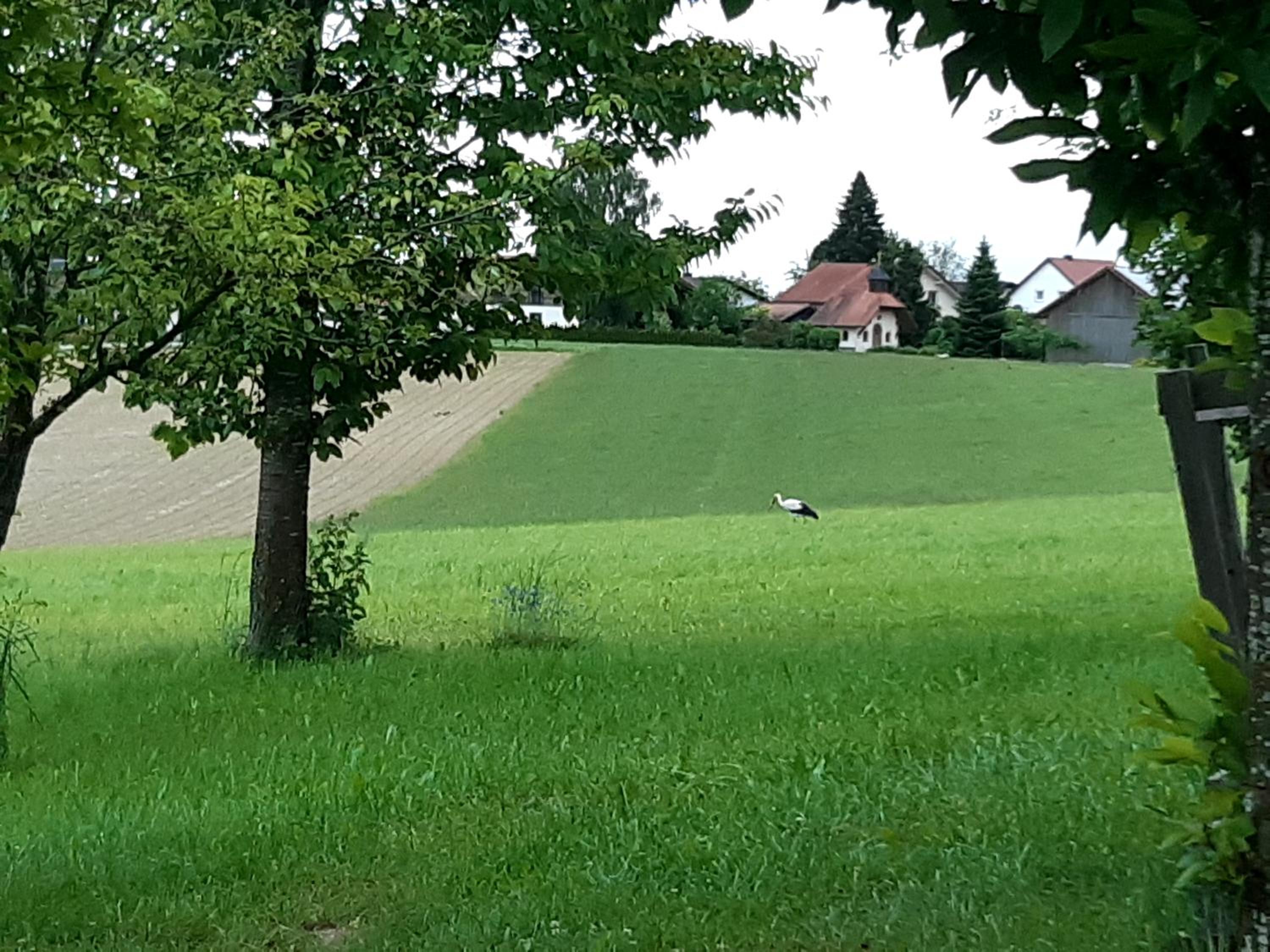 Landhaus-Stockinger view 3