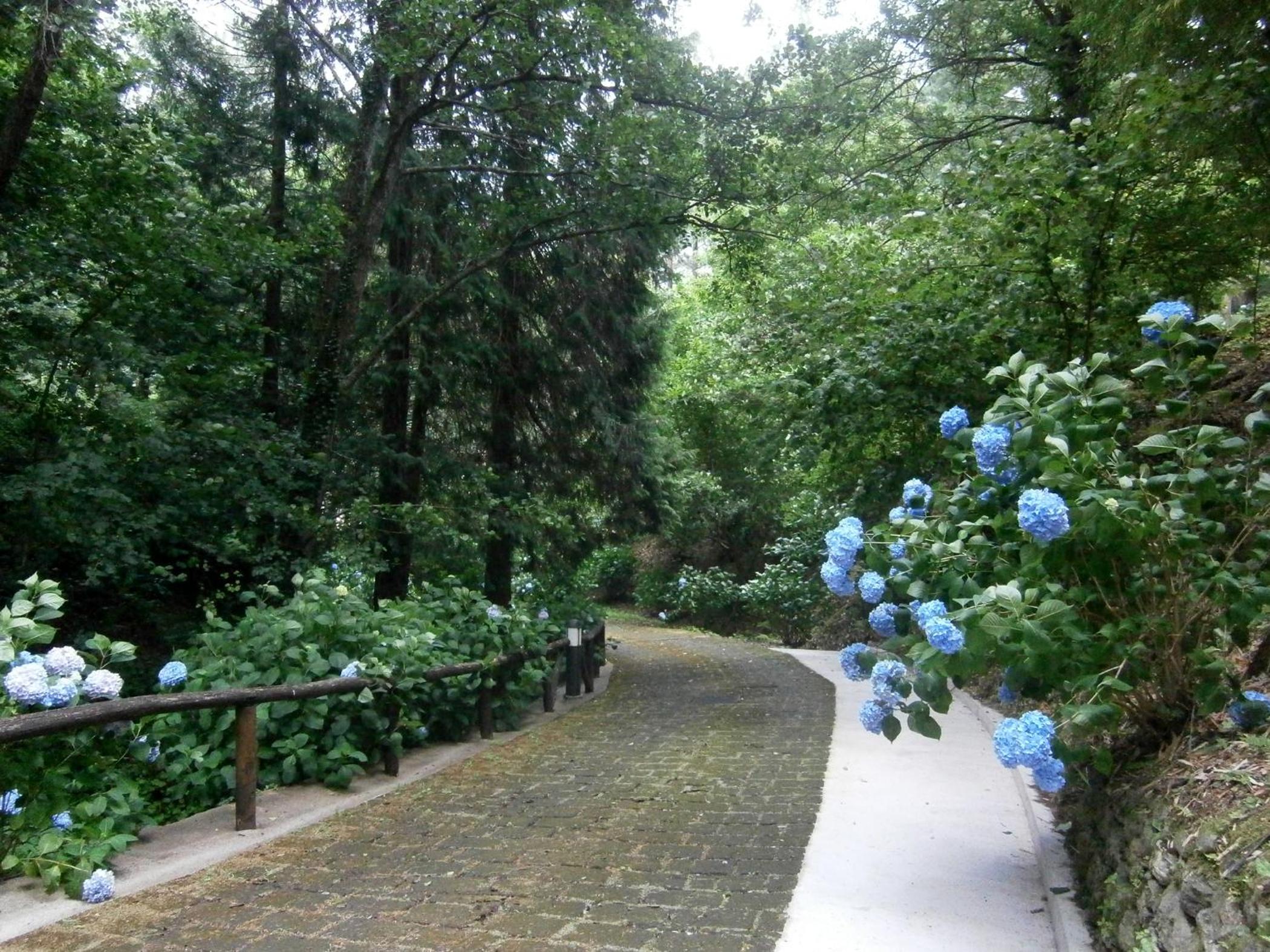 Photo 28