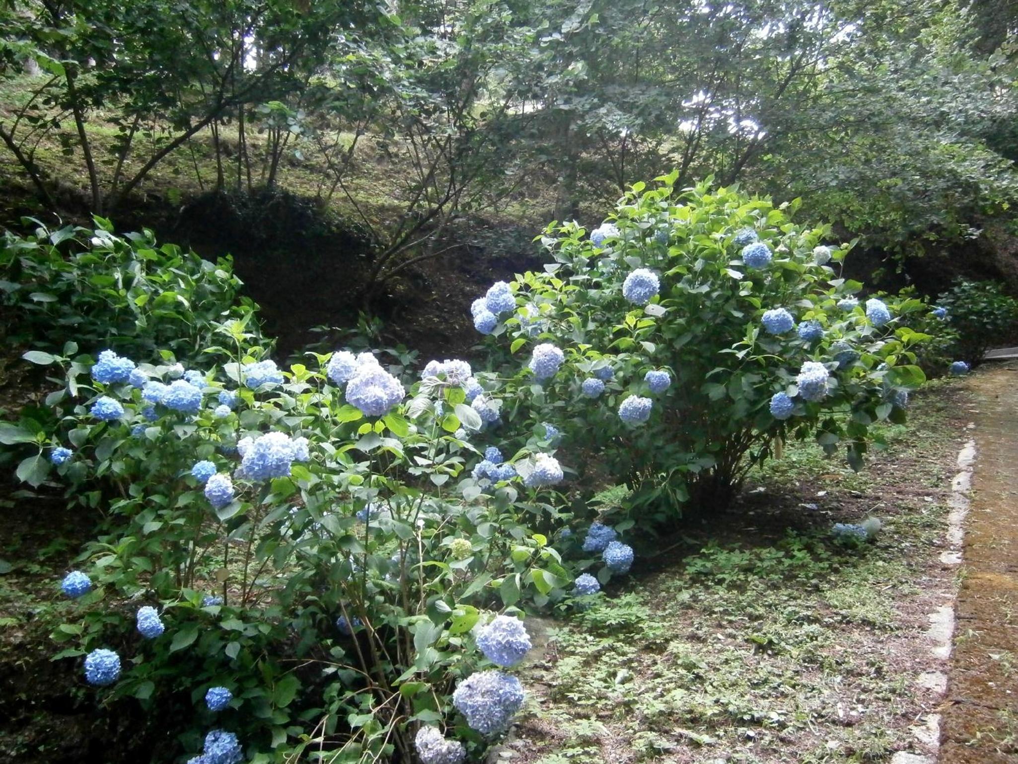 Photo 44