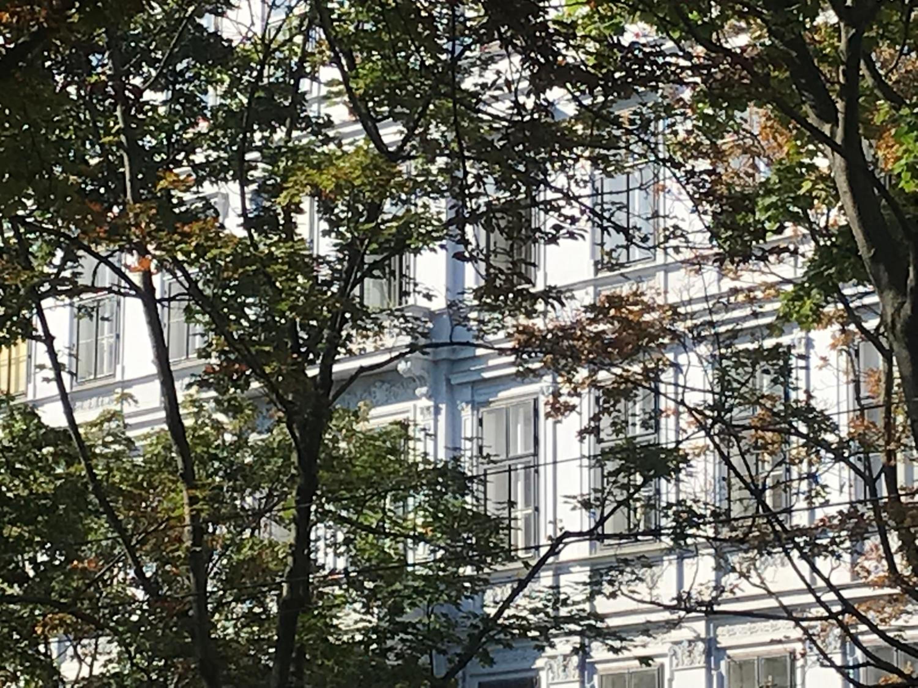 VCA Palais Brambilla