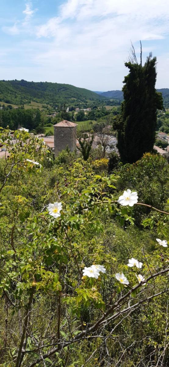 Loc Alp Verdon view 4