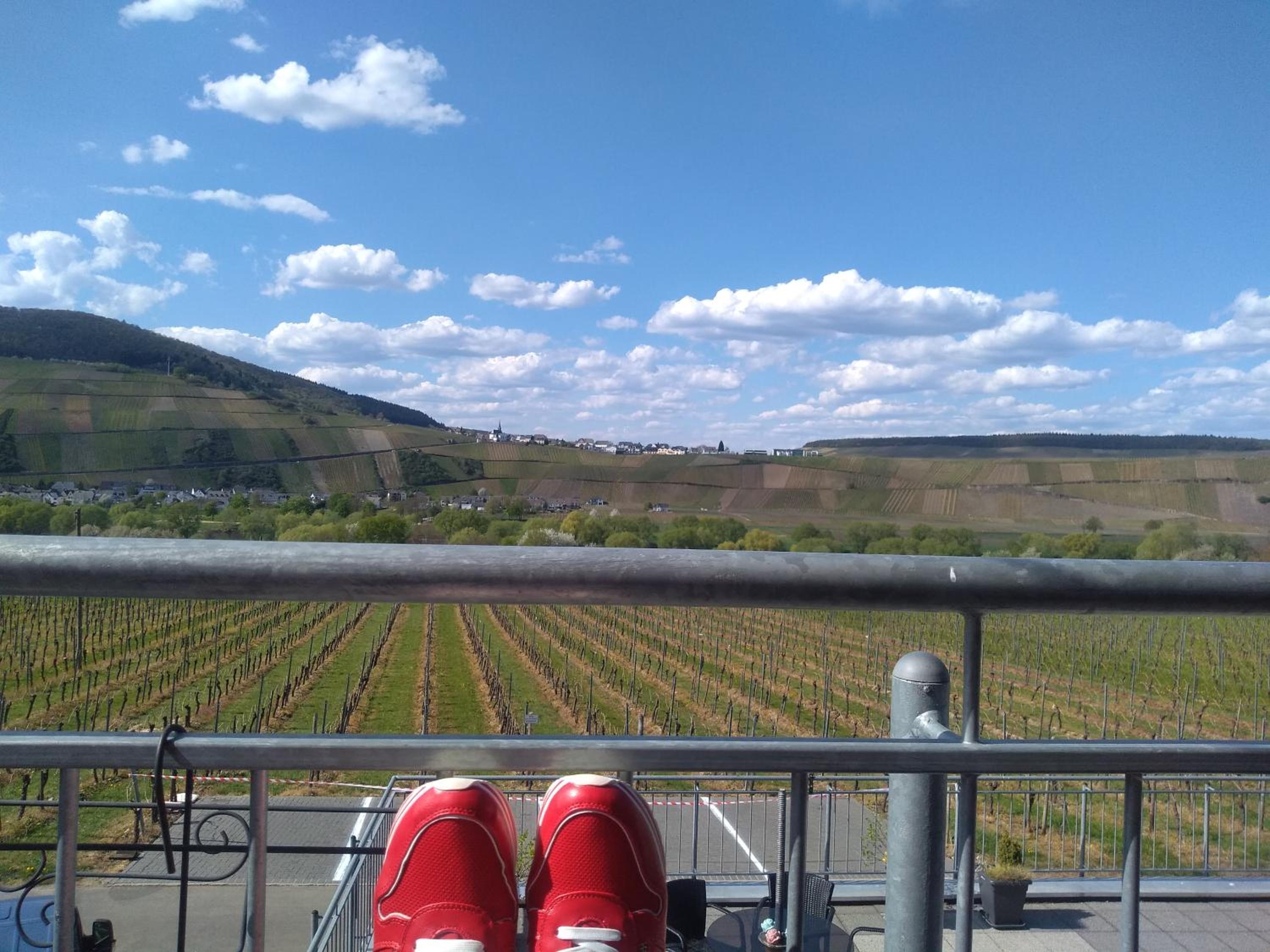 Weingut Tiliahof