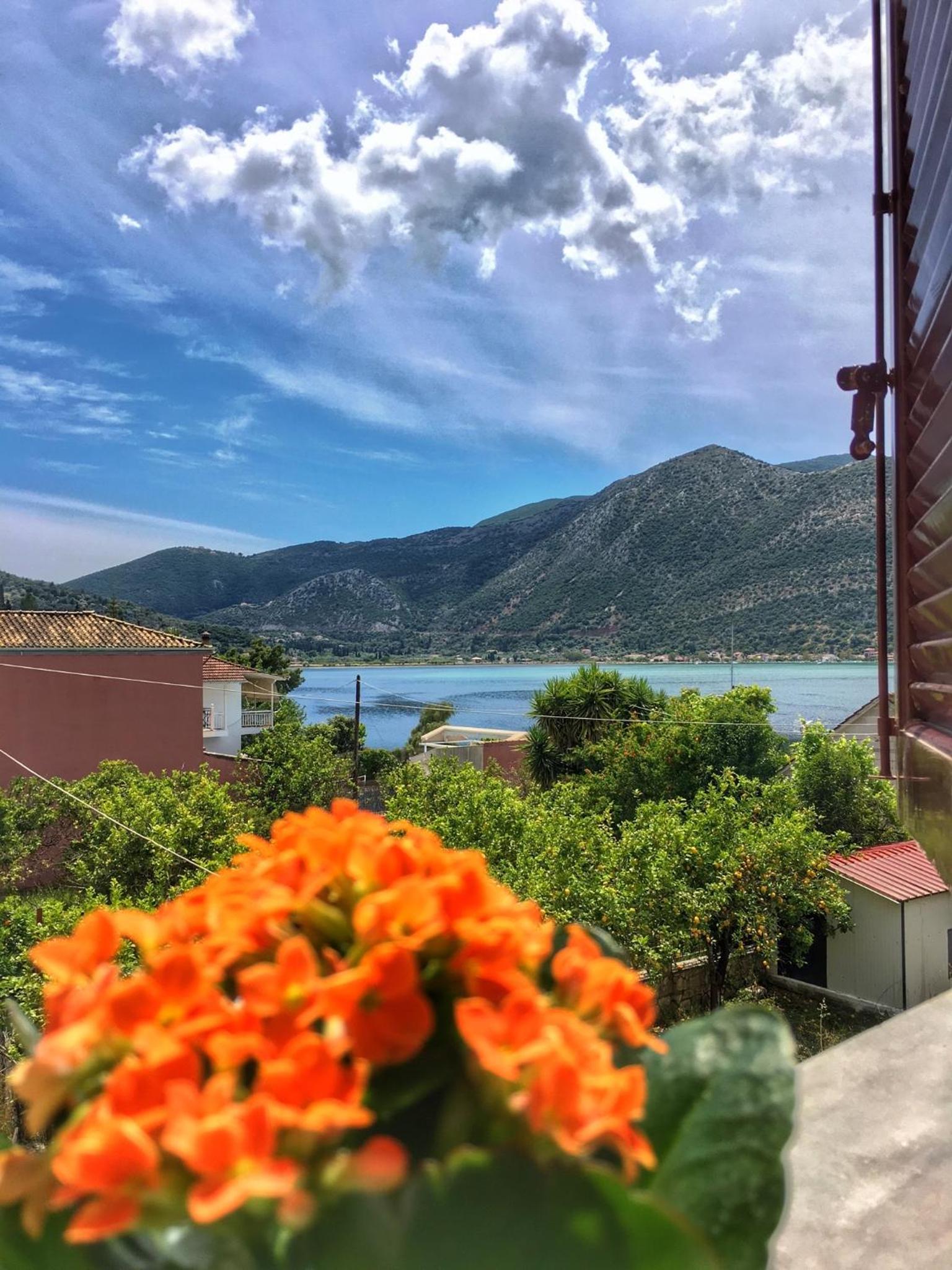 Camelia Studios