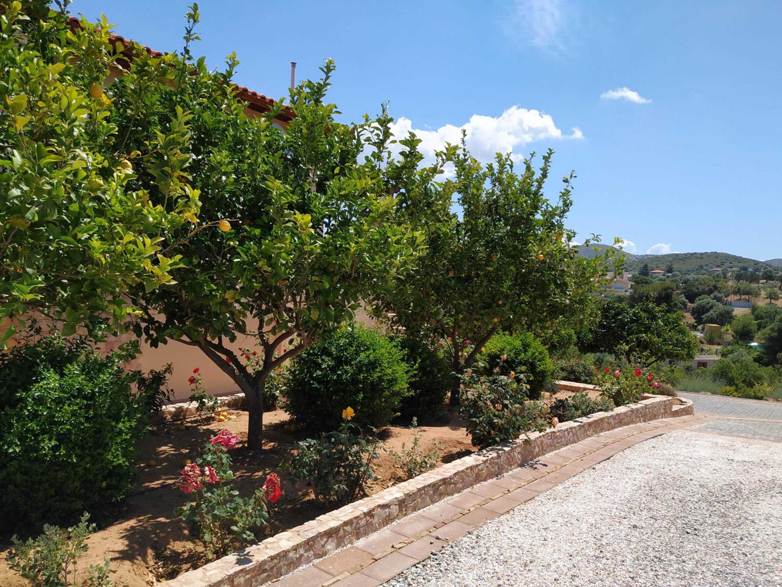 Photo 46