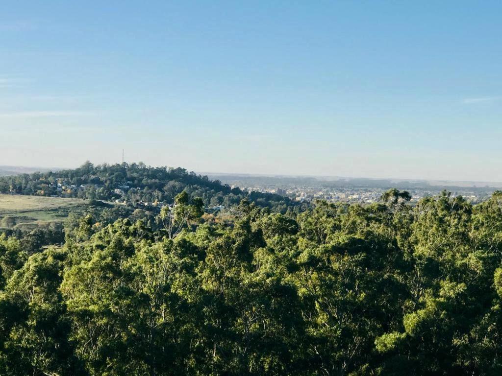El Estanque