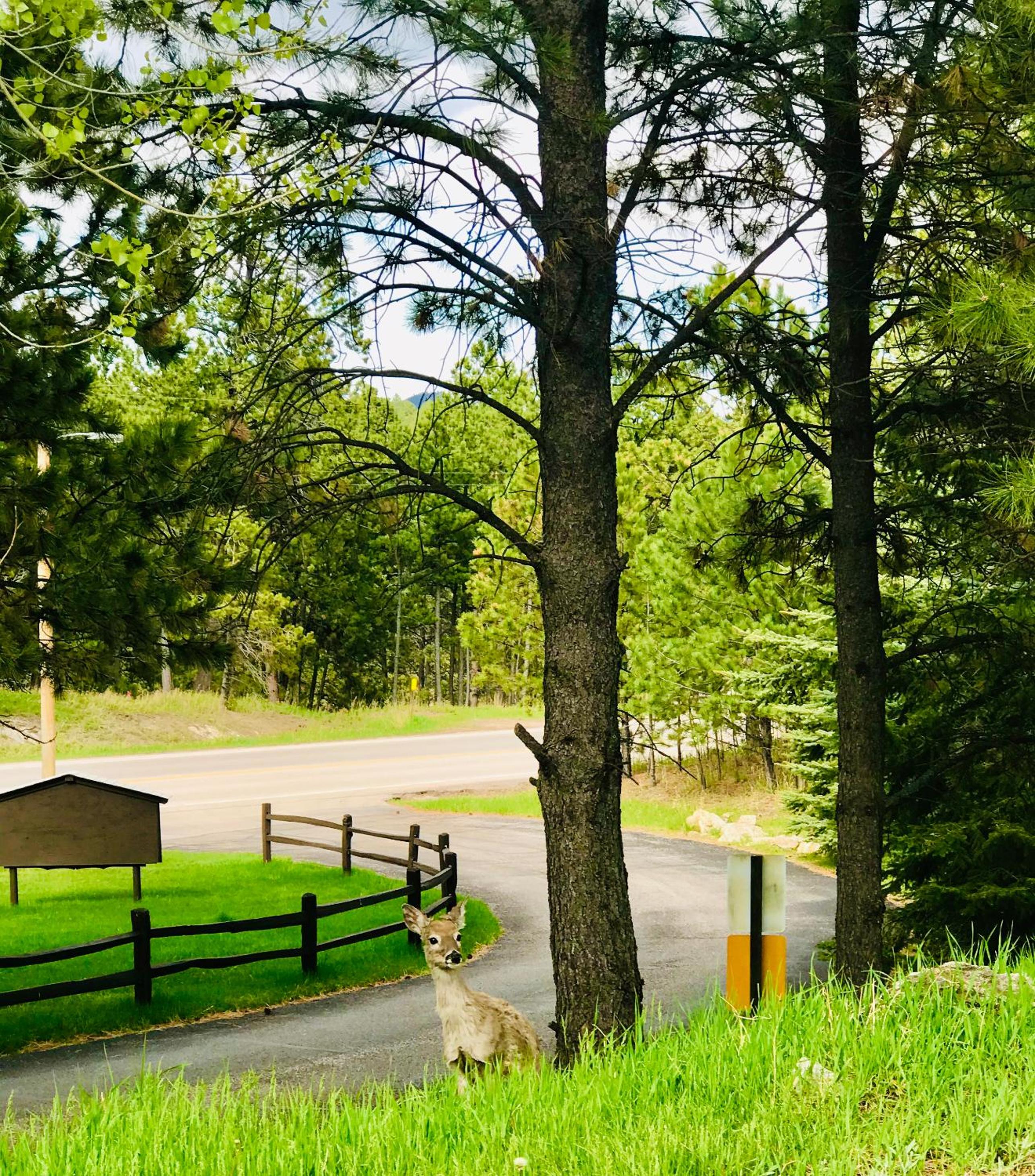 Bavarian Inn, Black Hills