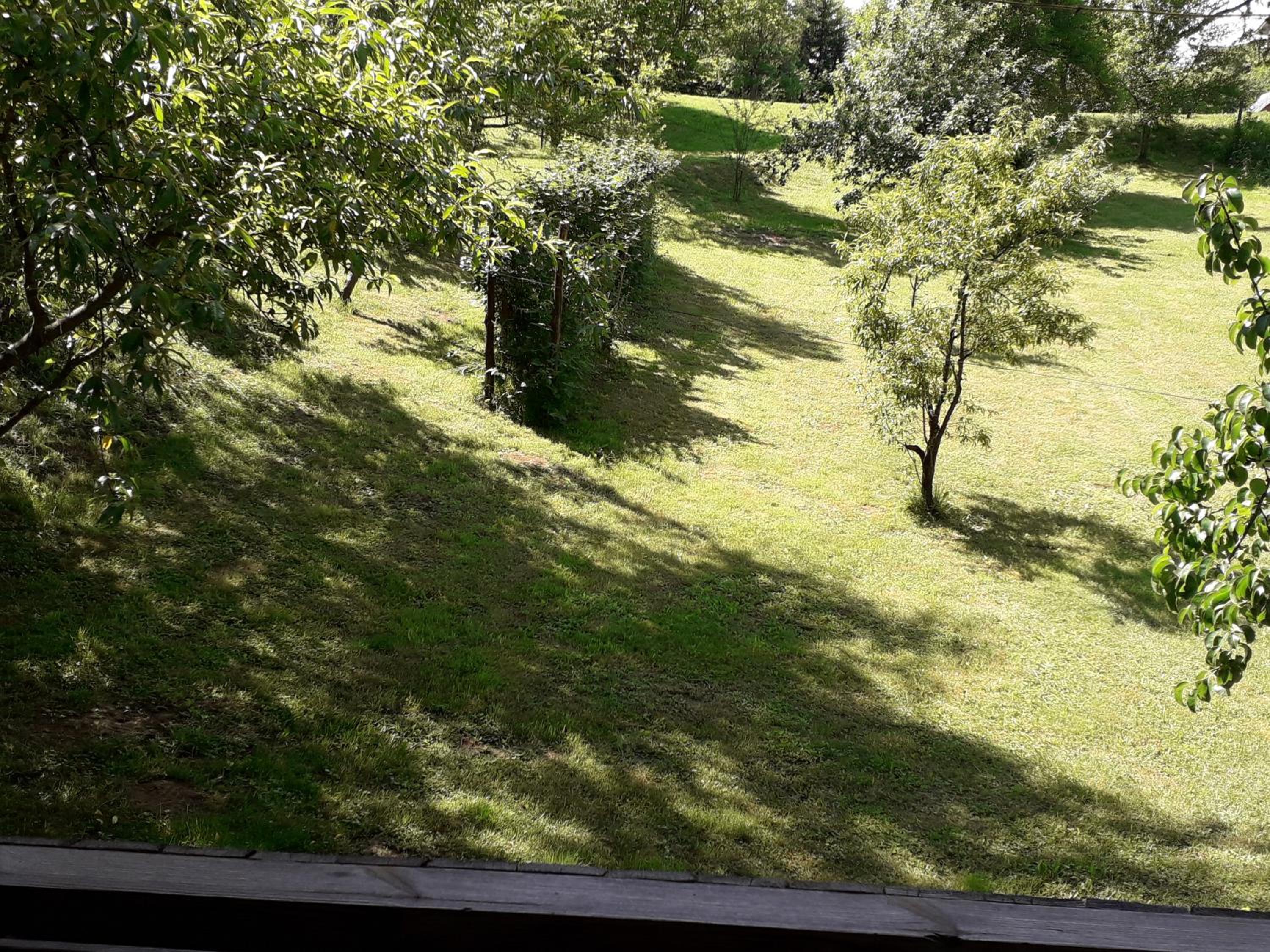 Apartment Iva