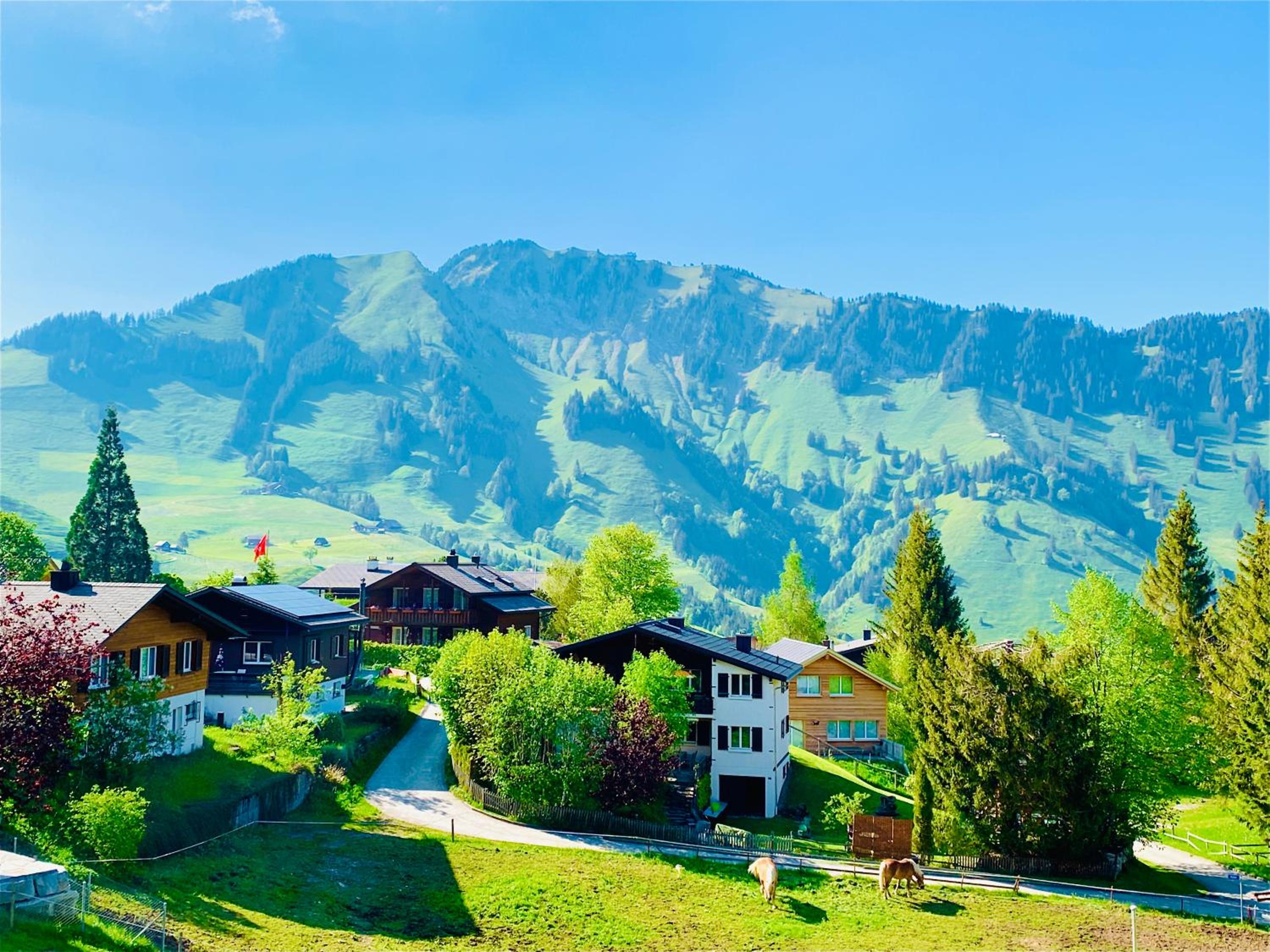The Swiss Paradise 1 Penthouse apartment