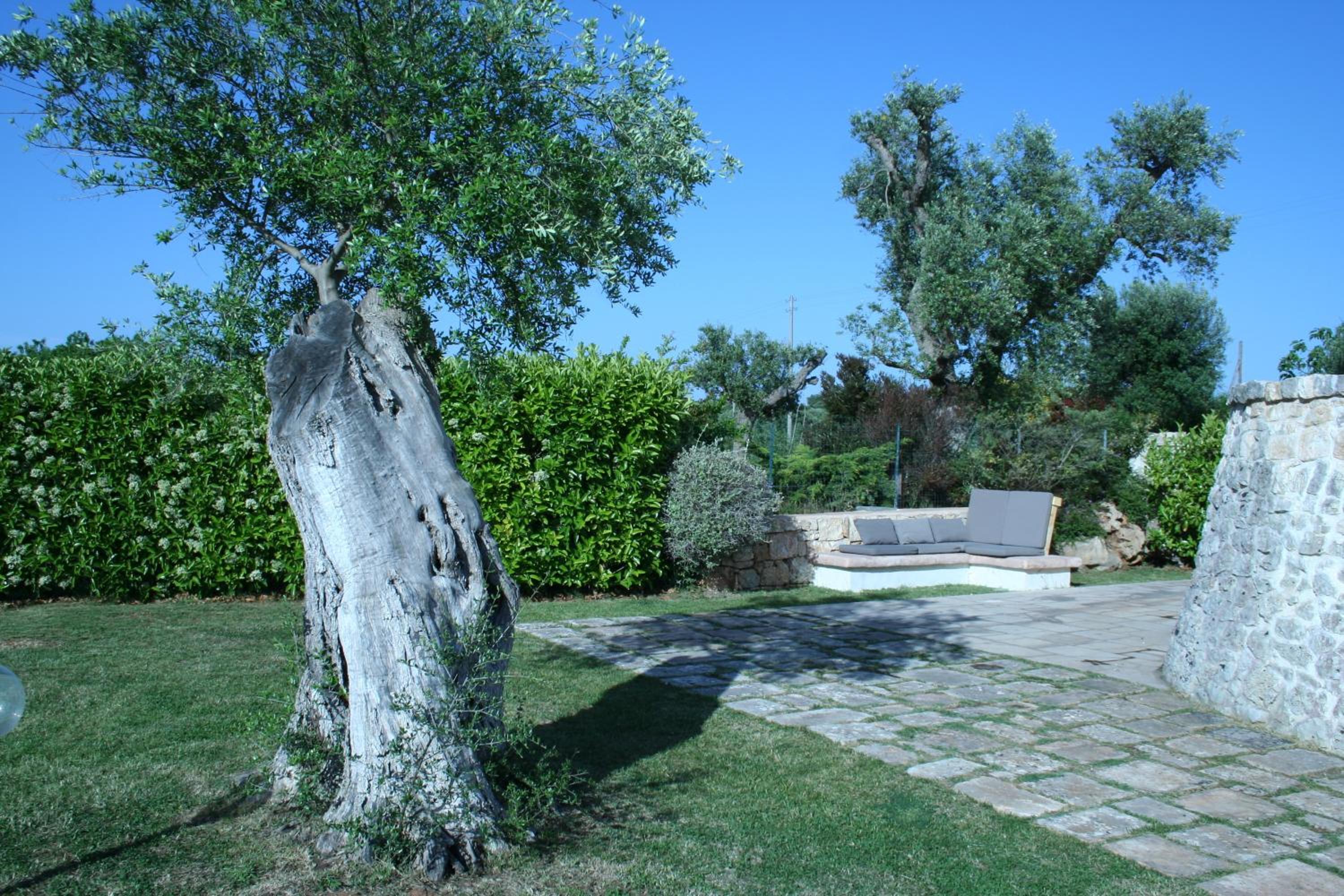 Photo 34