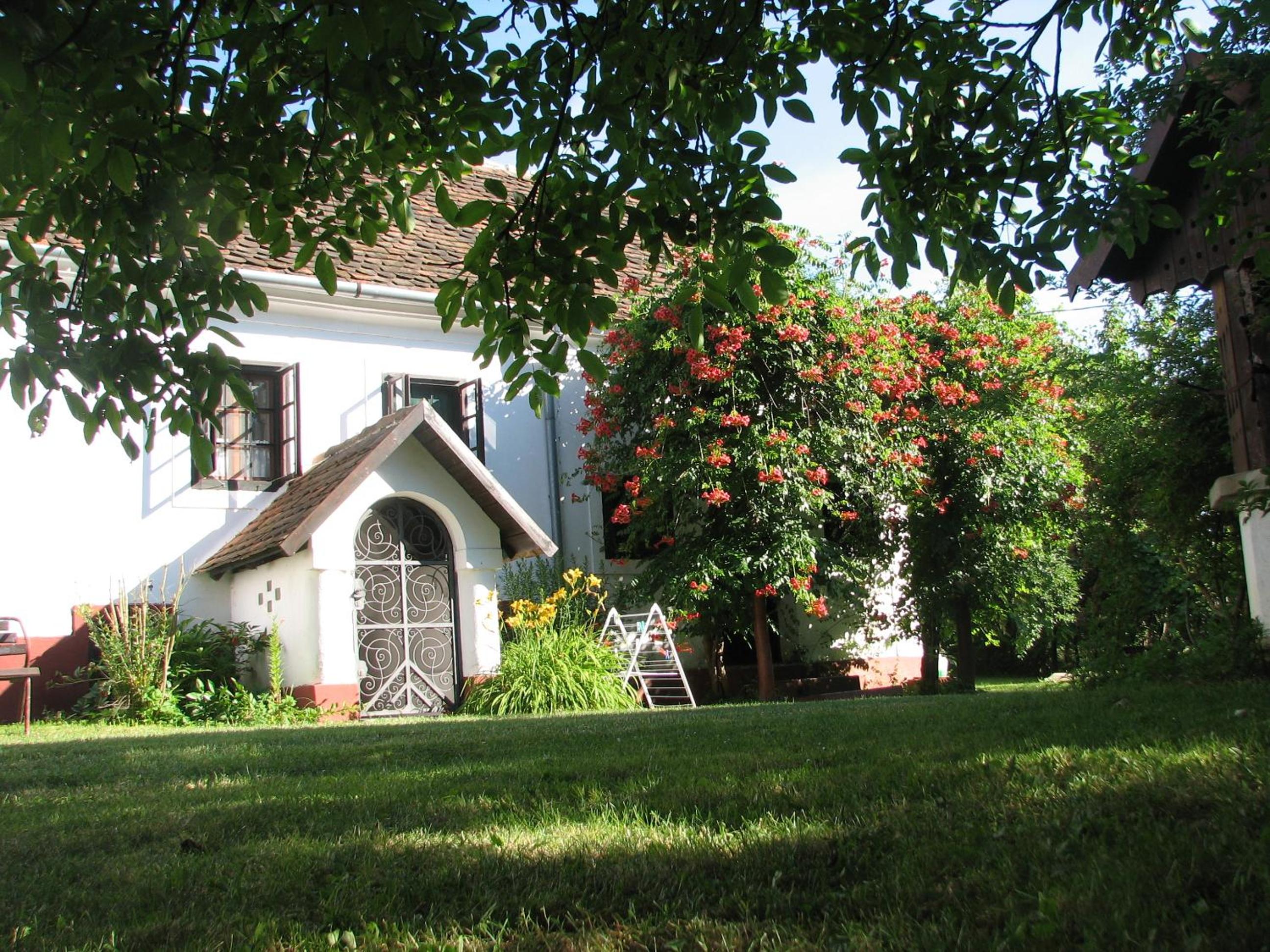 Photo 35