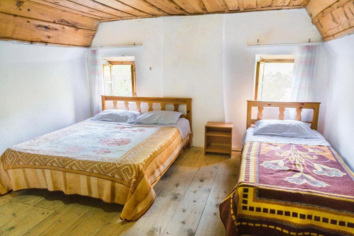 Bujtina Terthorja