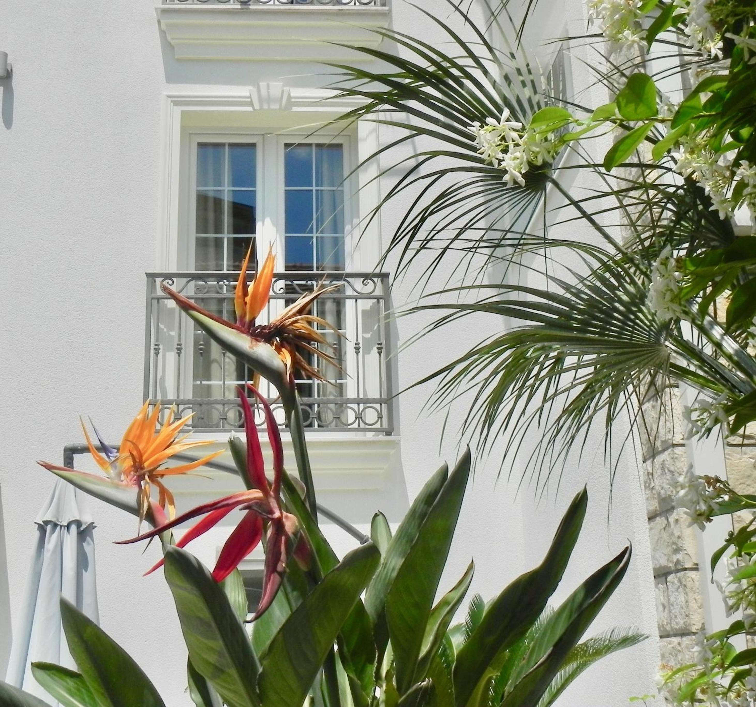 Apartments Captain's Villa