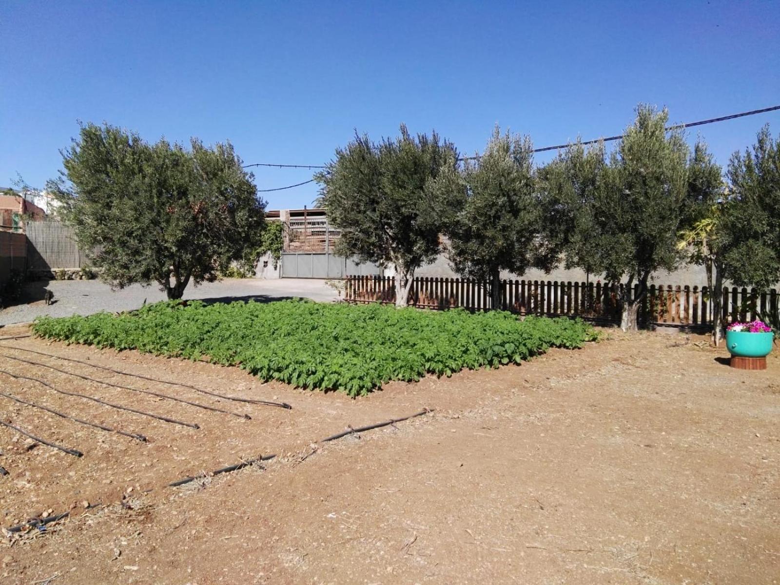 other