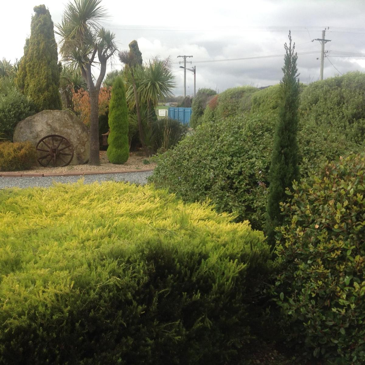 Photo 11