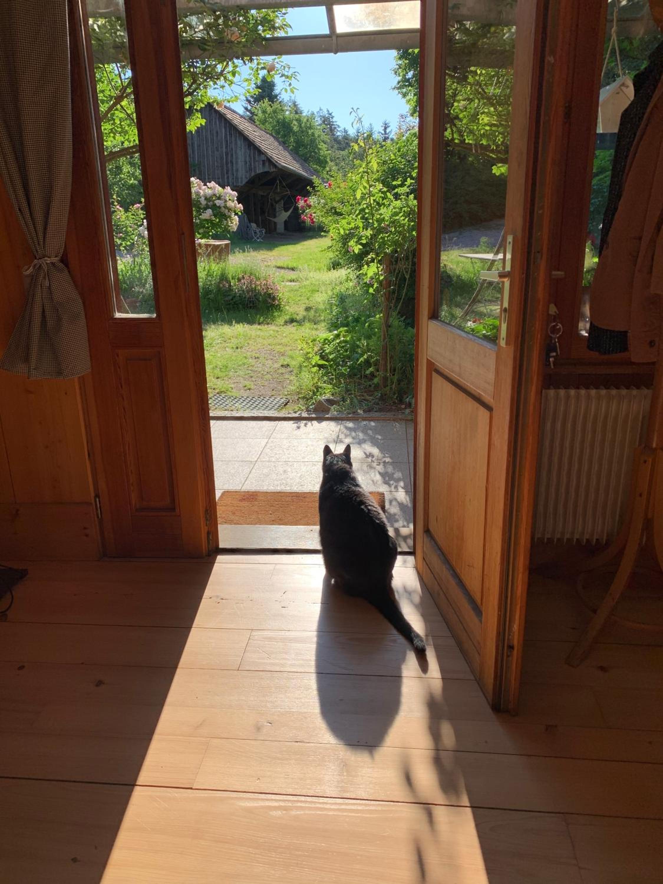 Le Manoir des Sens - Forêt de Bergheim